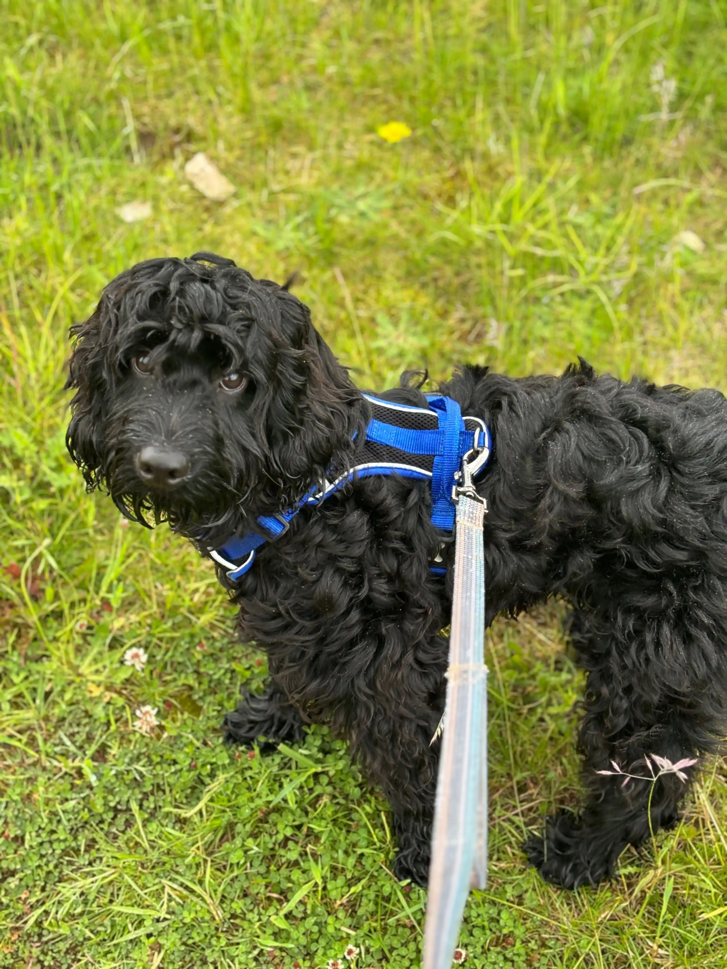 image-6