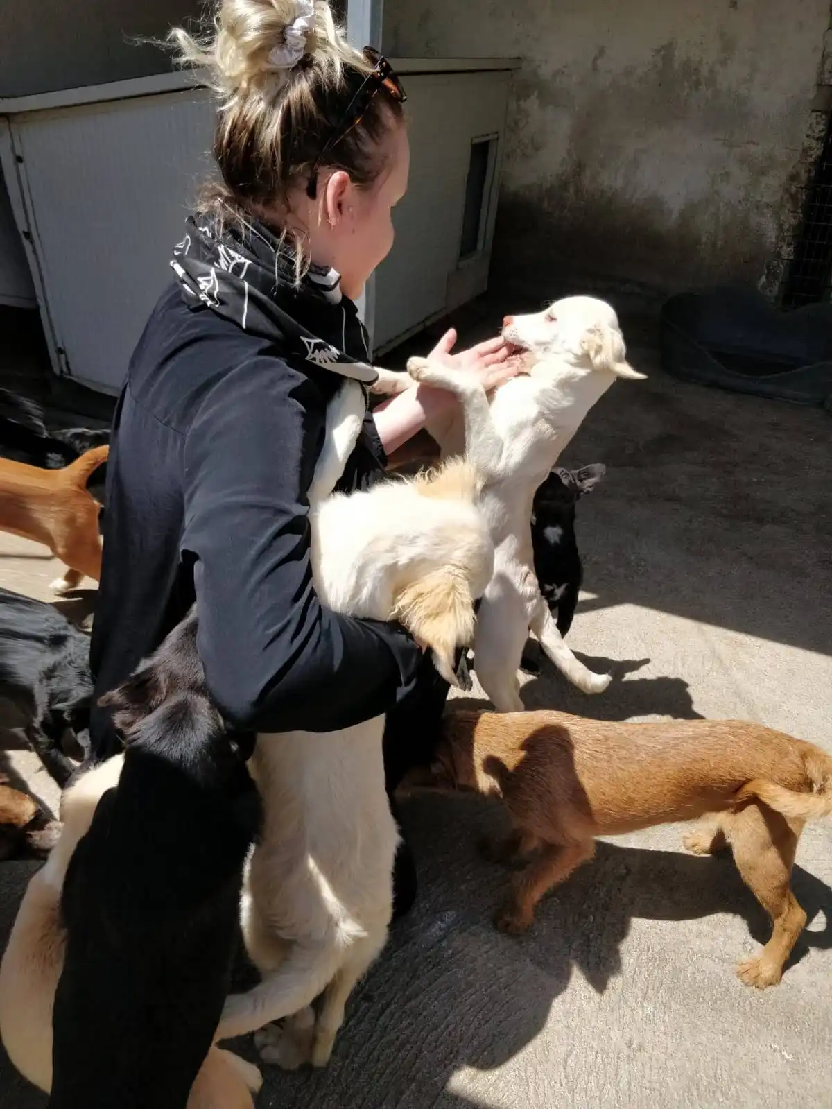 image-10