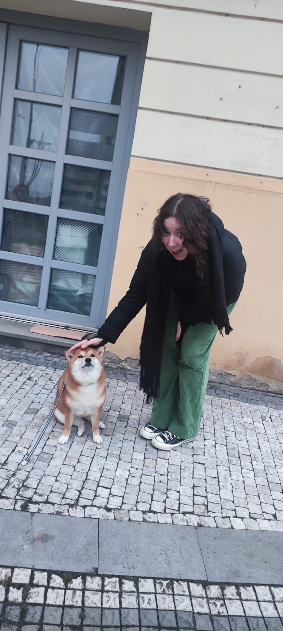 image-8