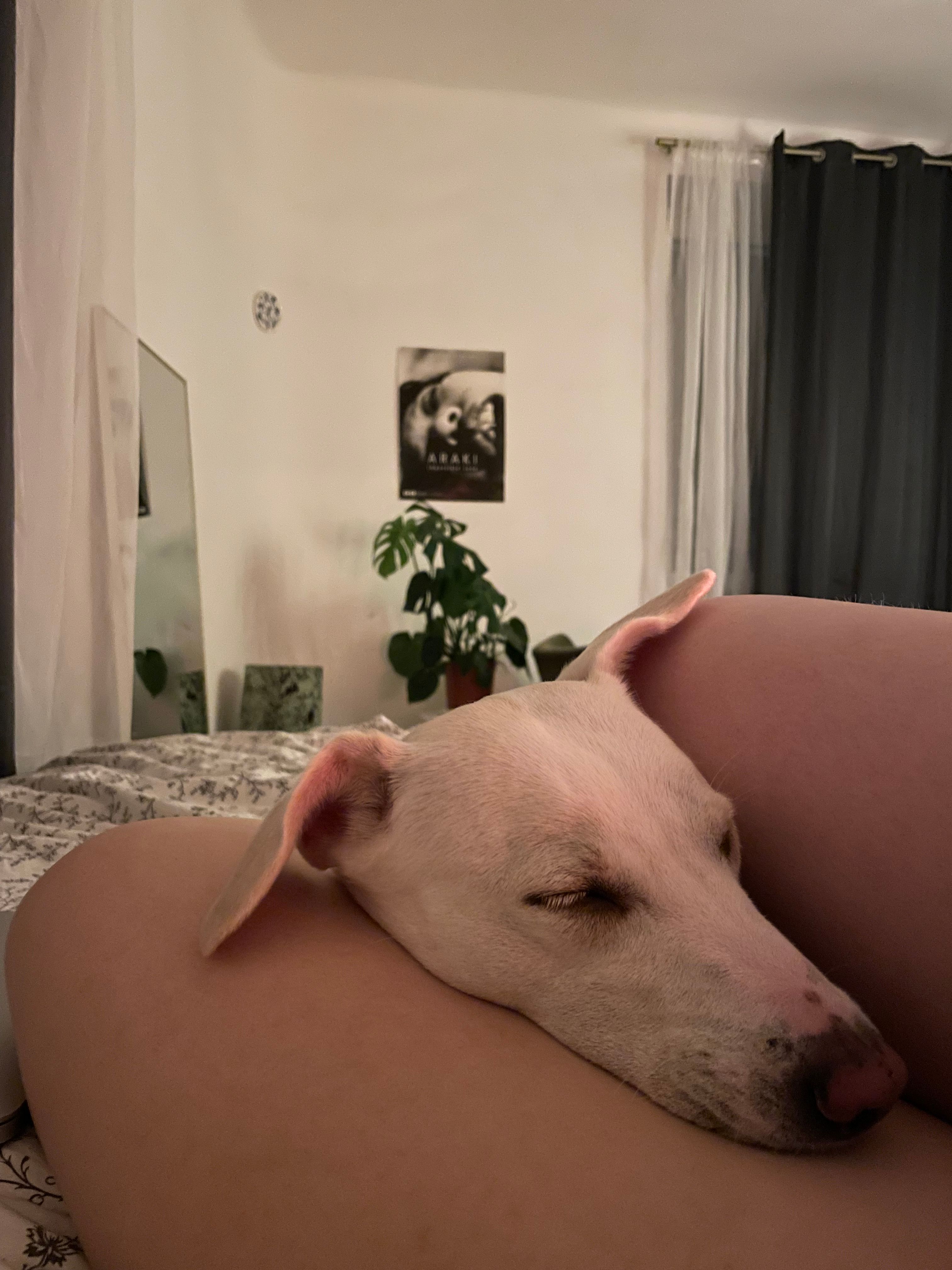 image-13