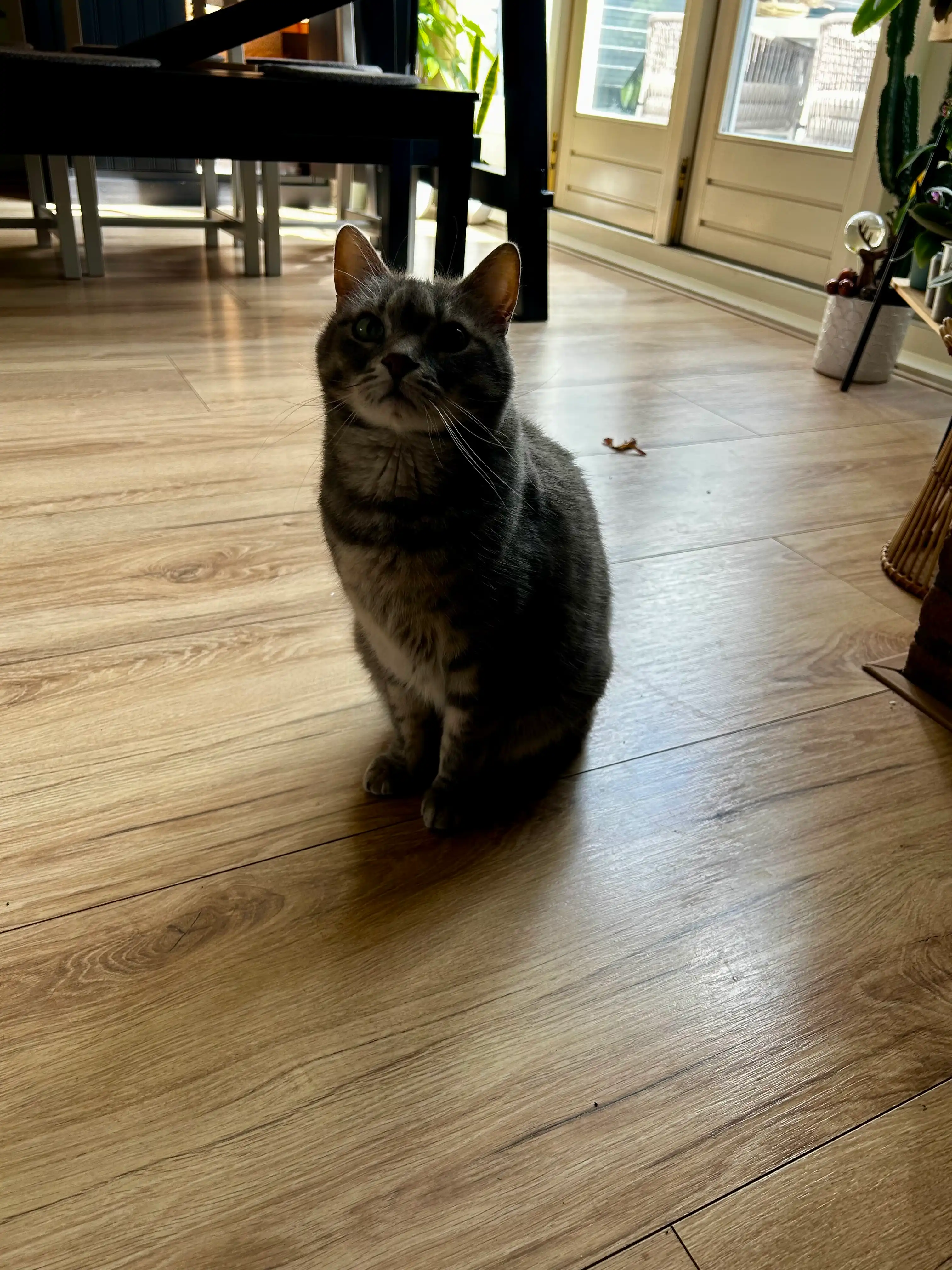 image-9