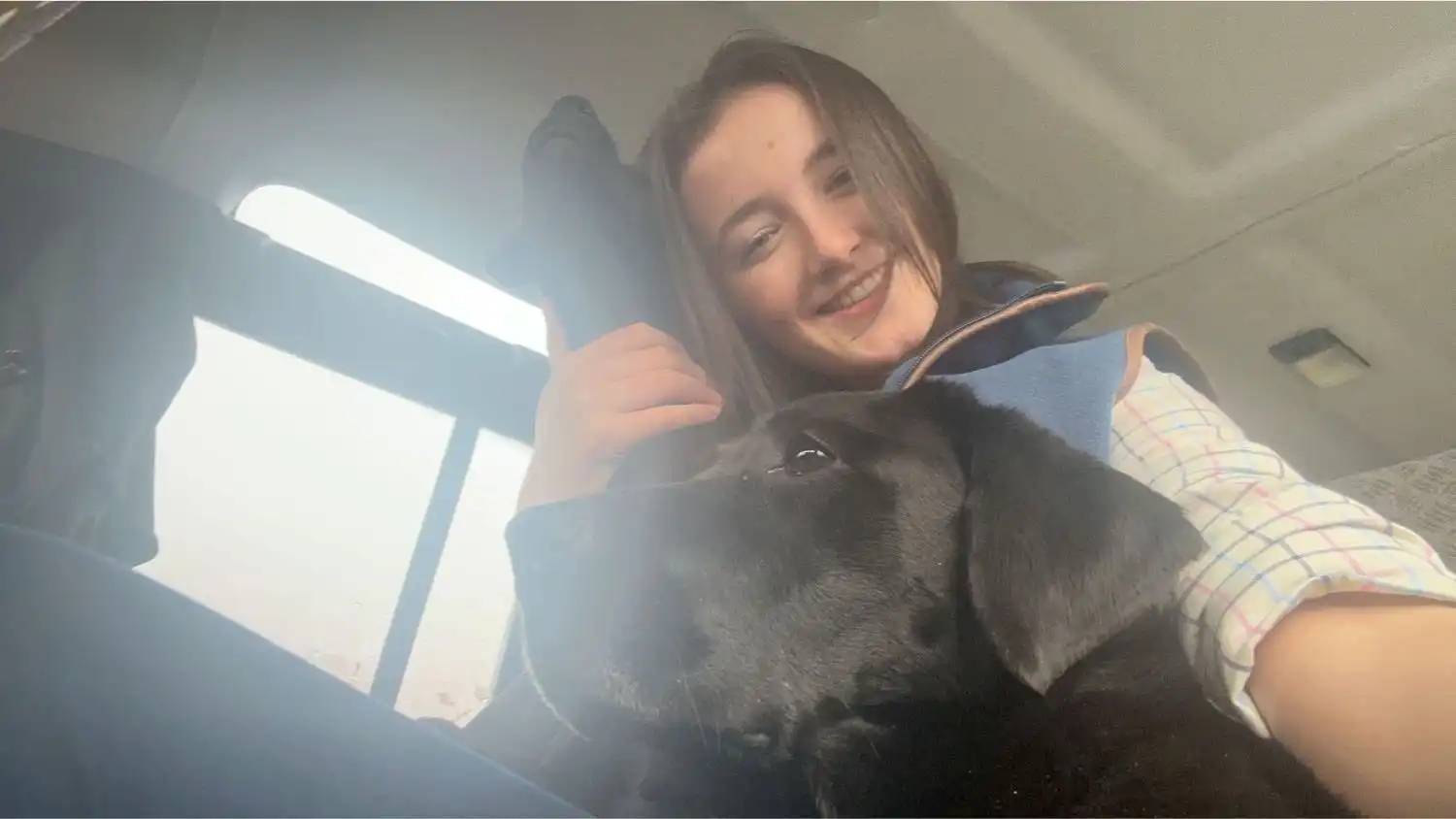 image-6