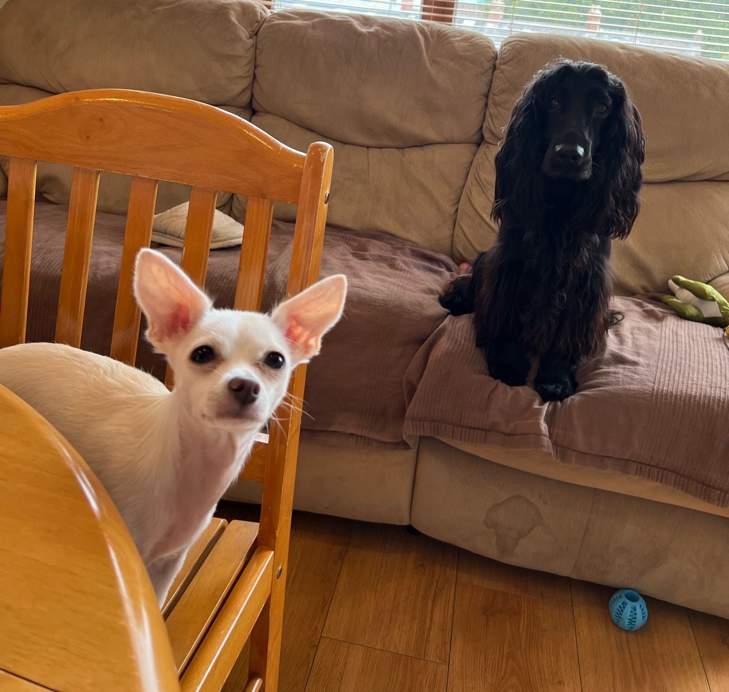 image-28