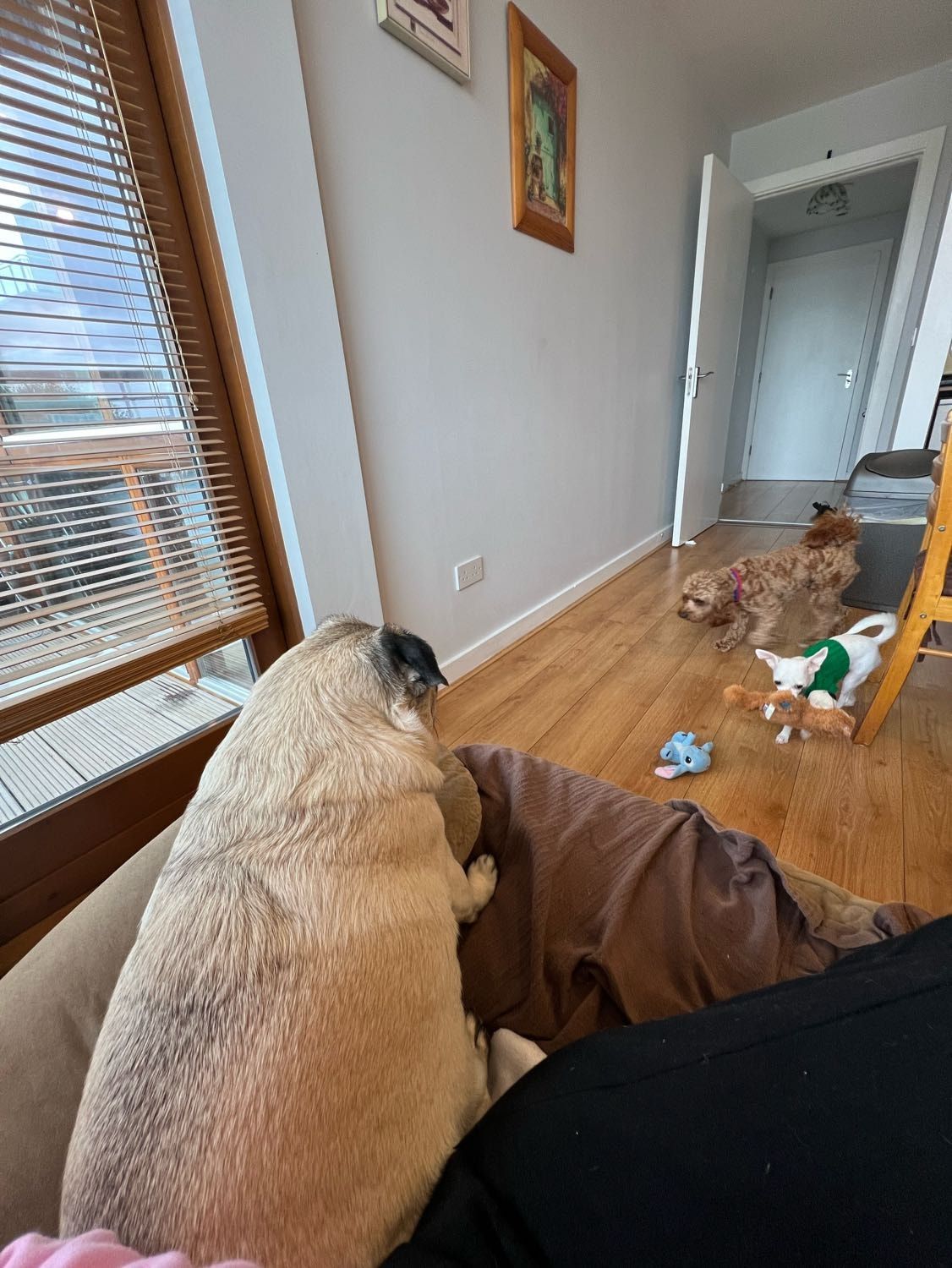 image-41