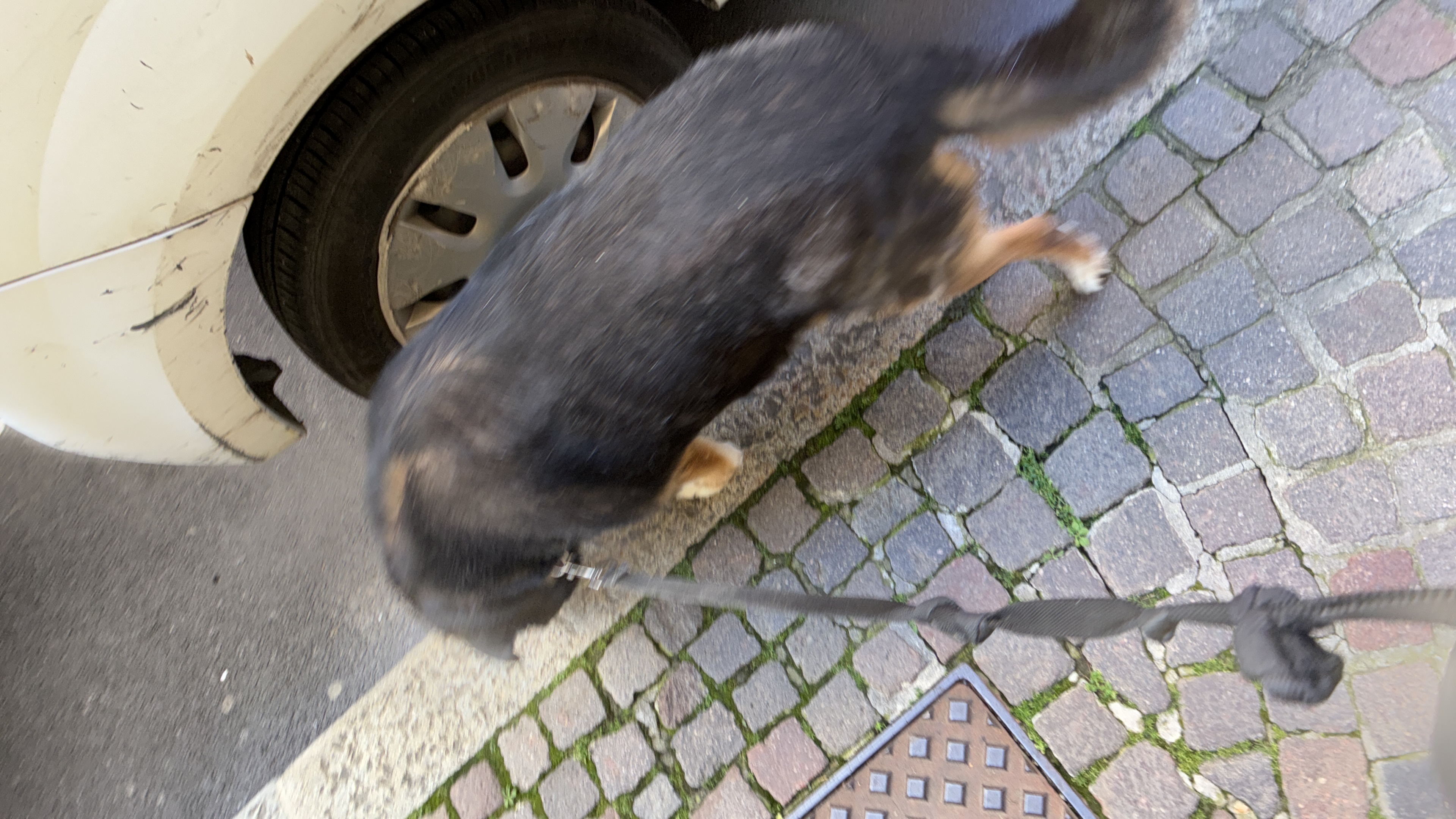 image-18