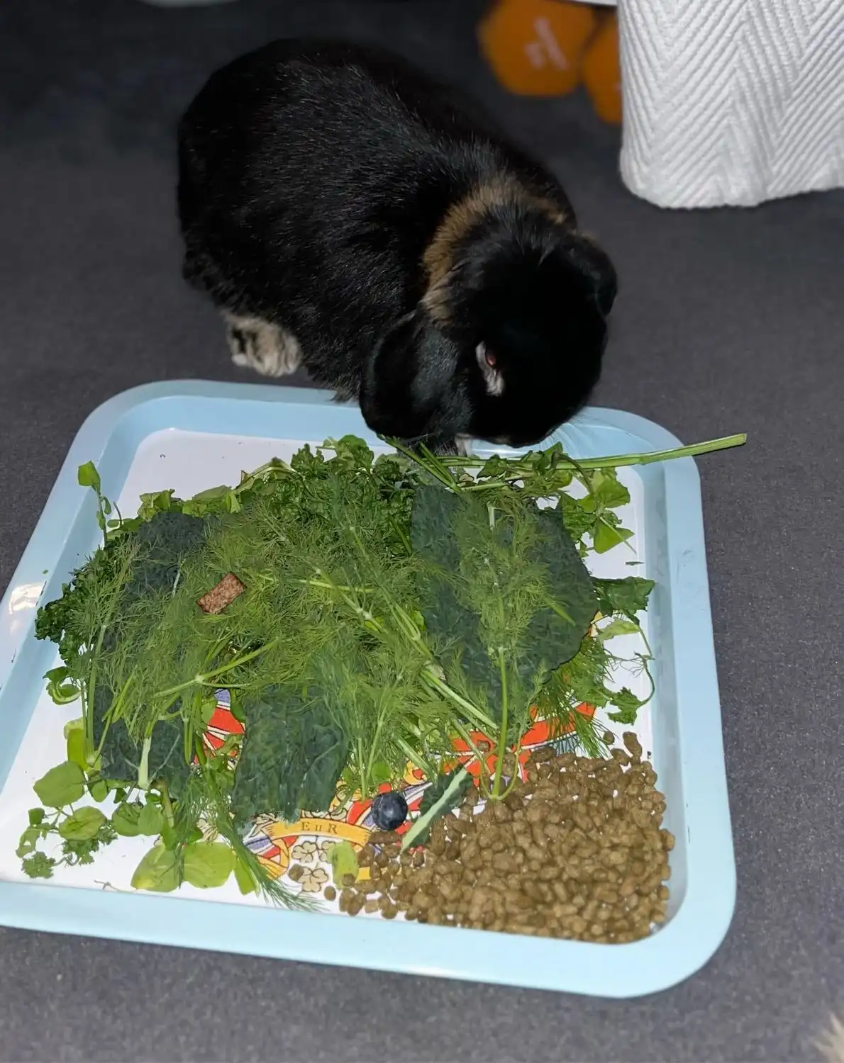 image-18