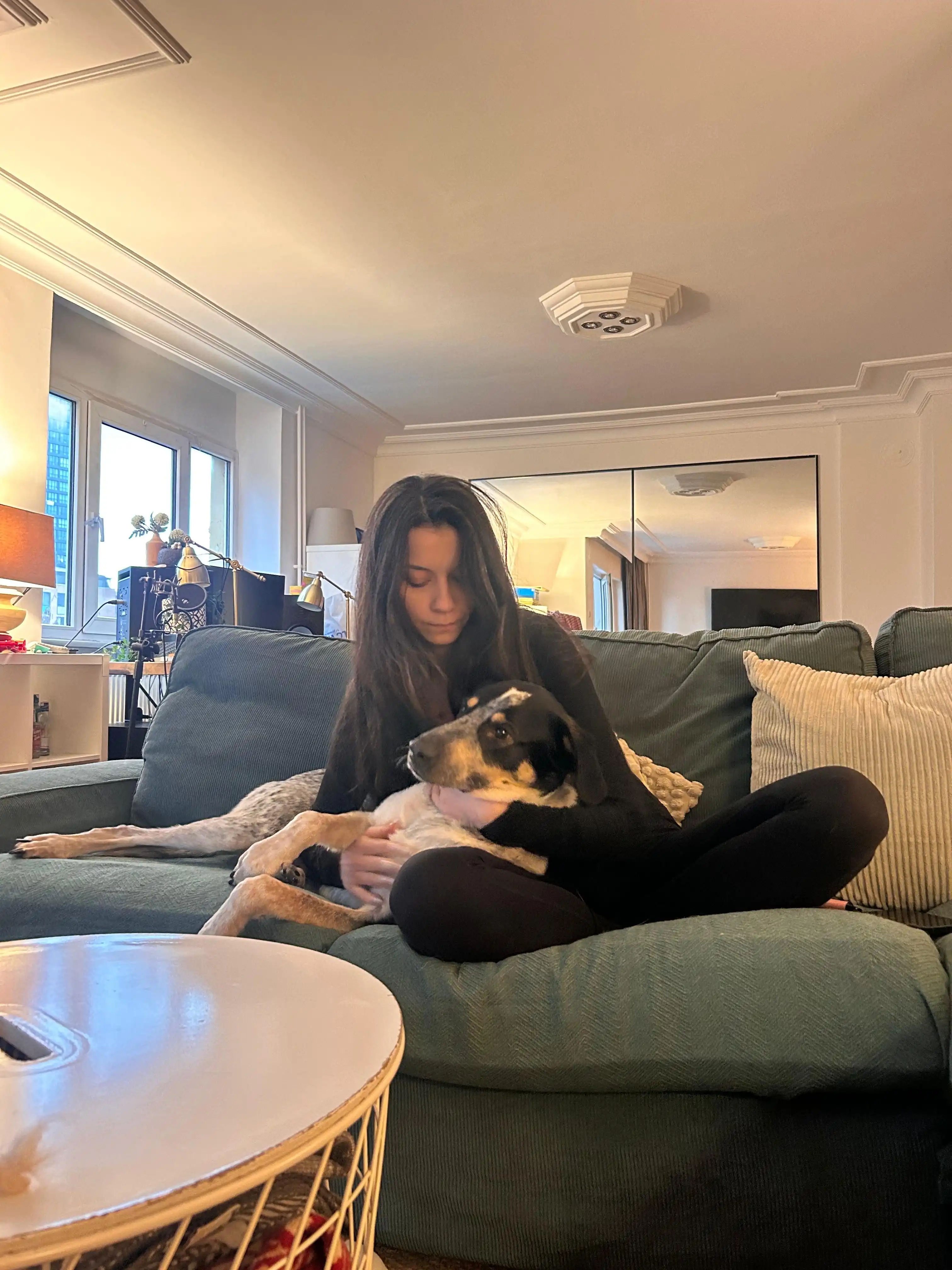 image-11