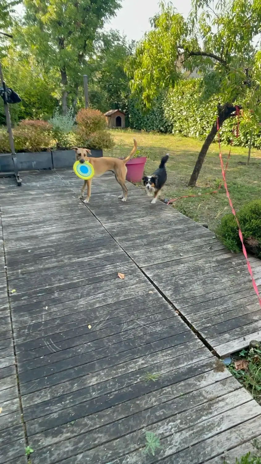 image-16