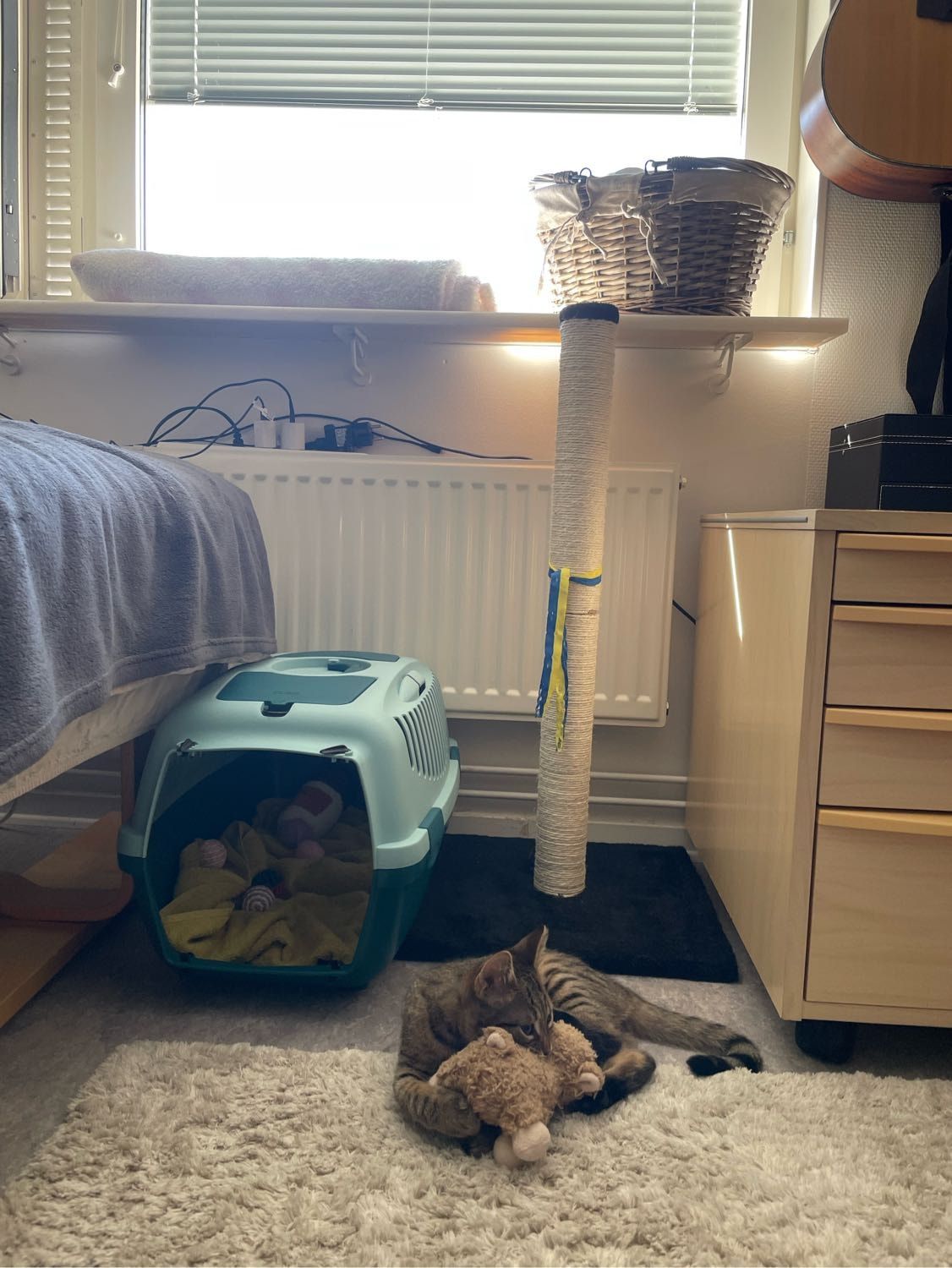 image-13