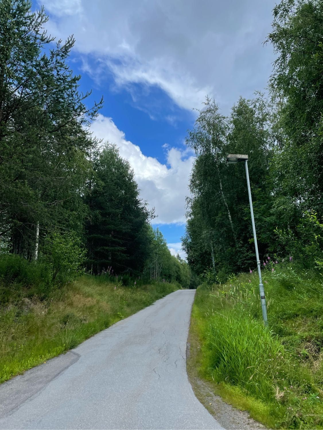 image-18