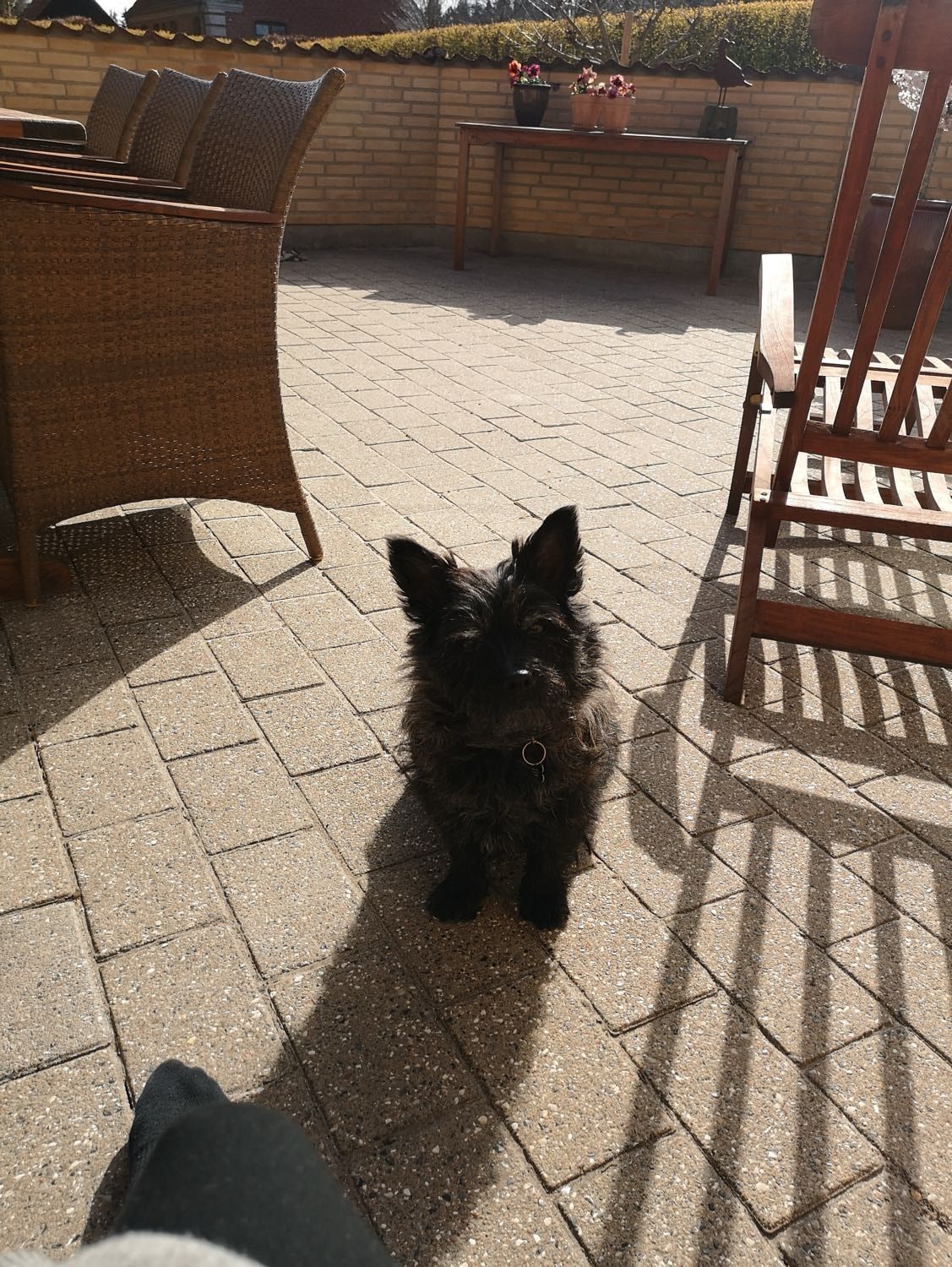 image-3