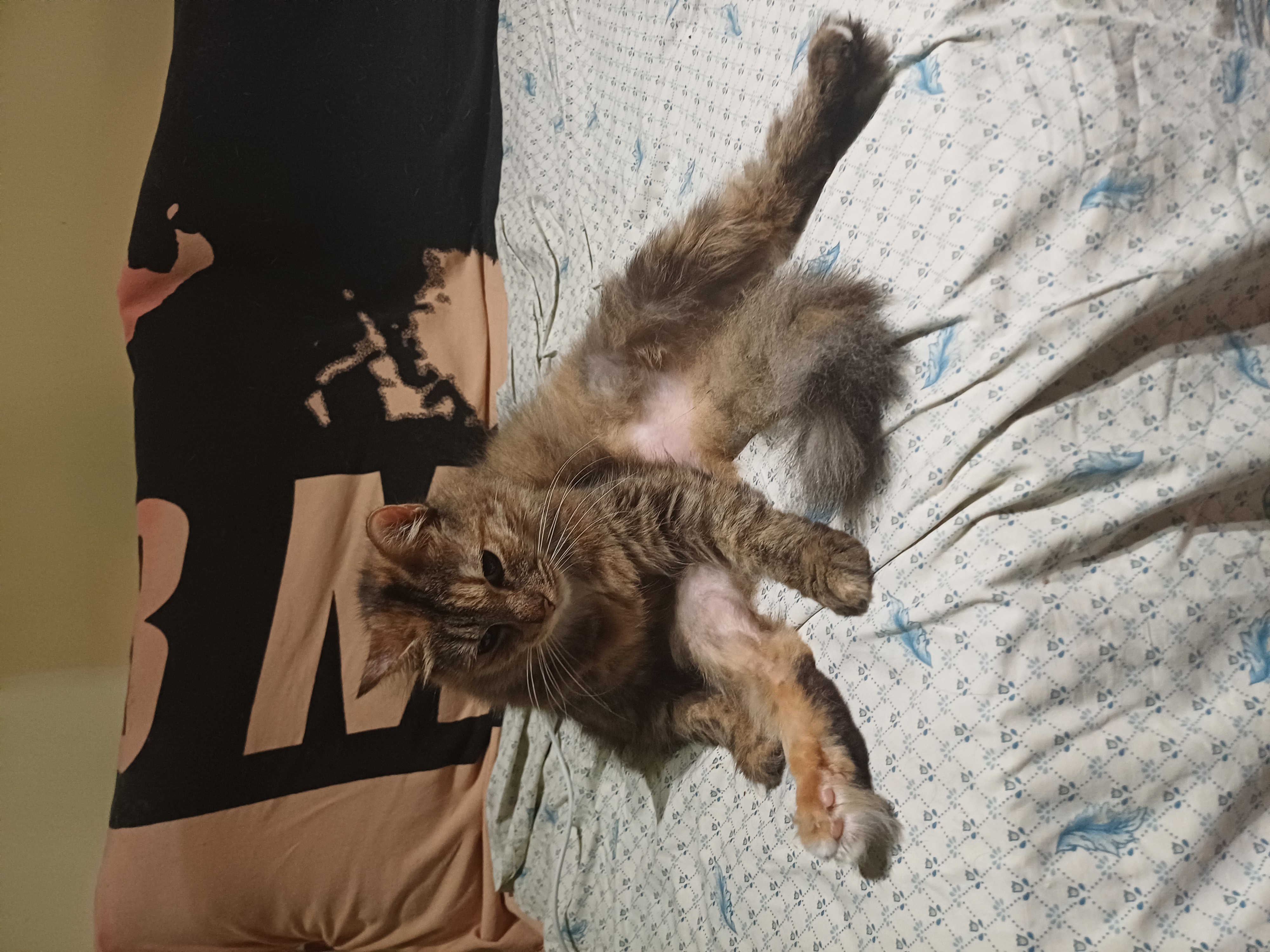image-9
