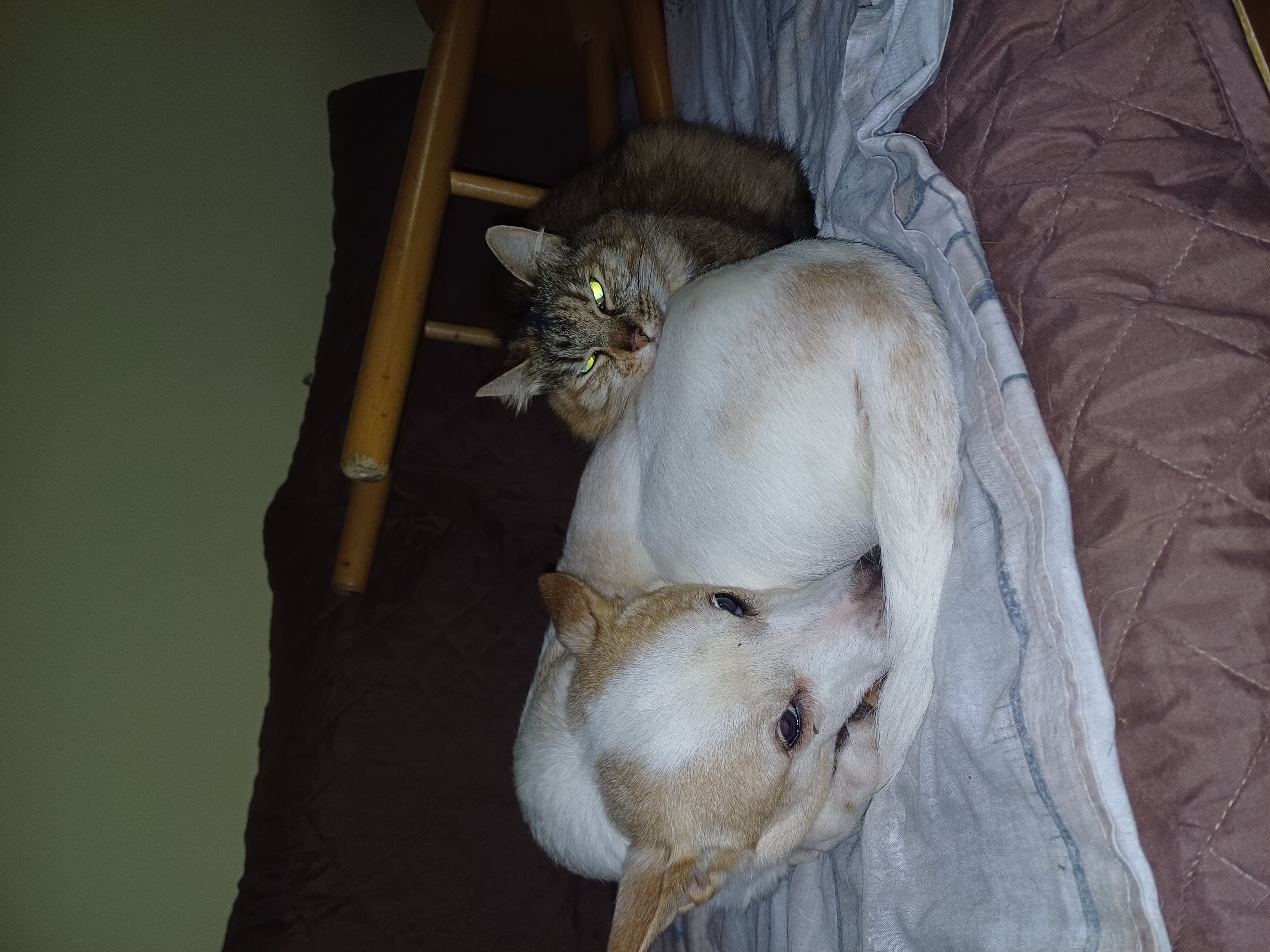 image-7