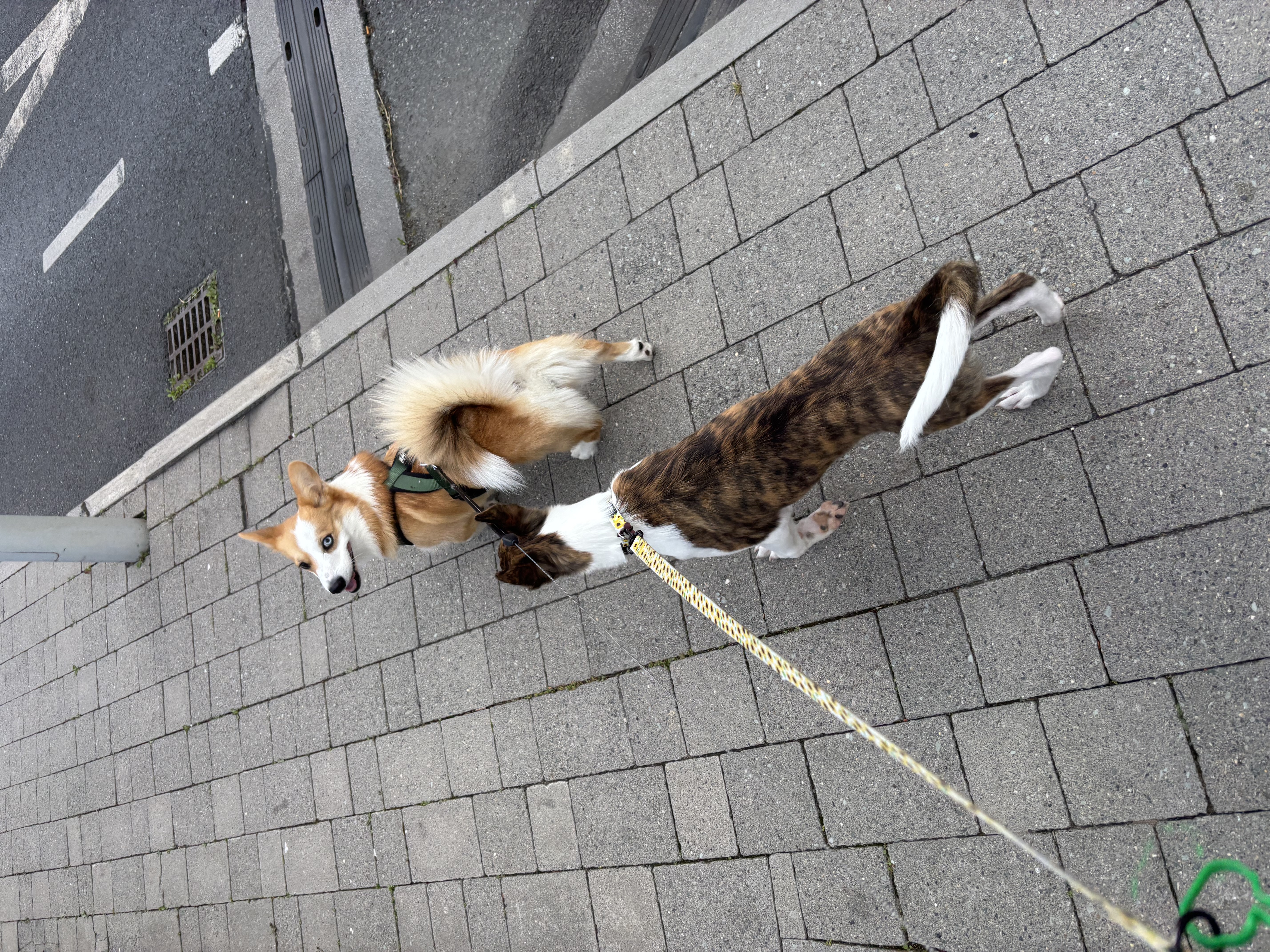 image-17