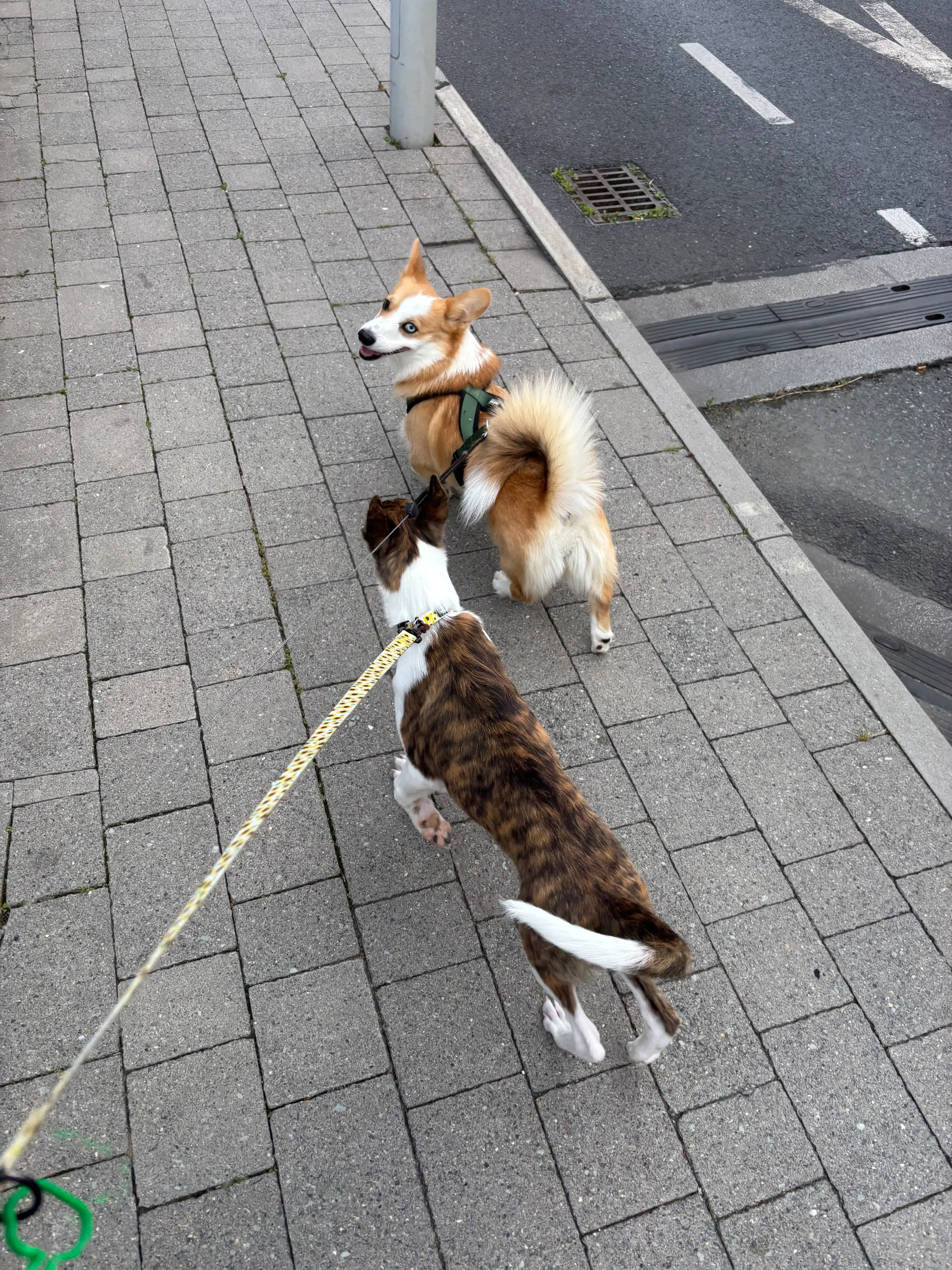 image-17