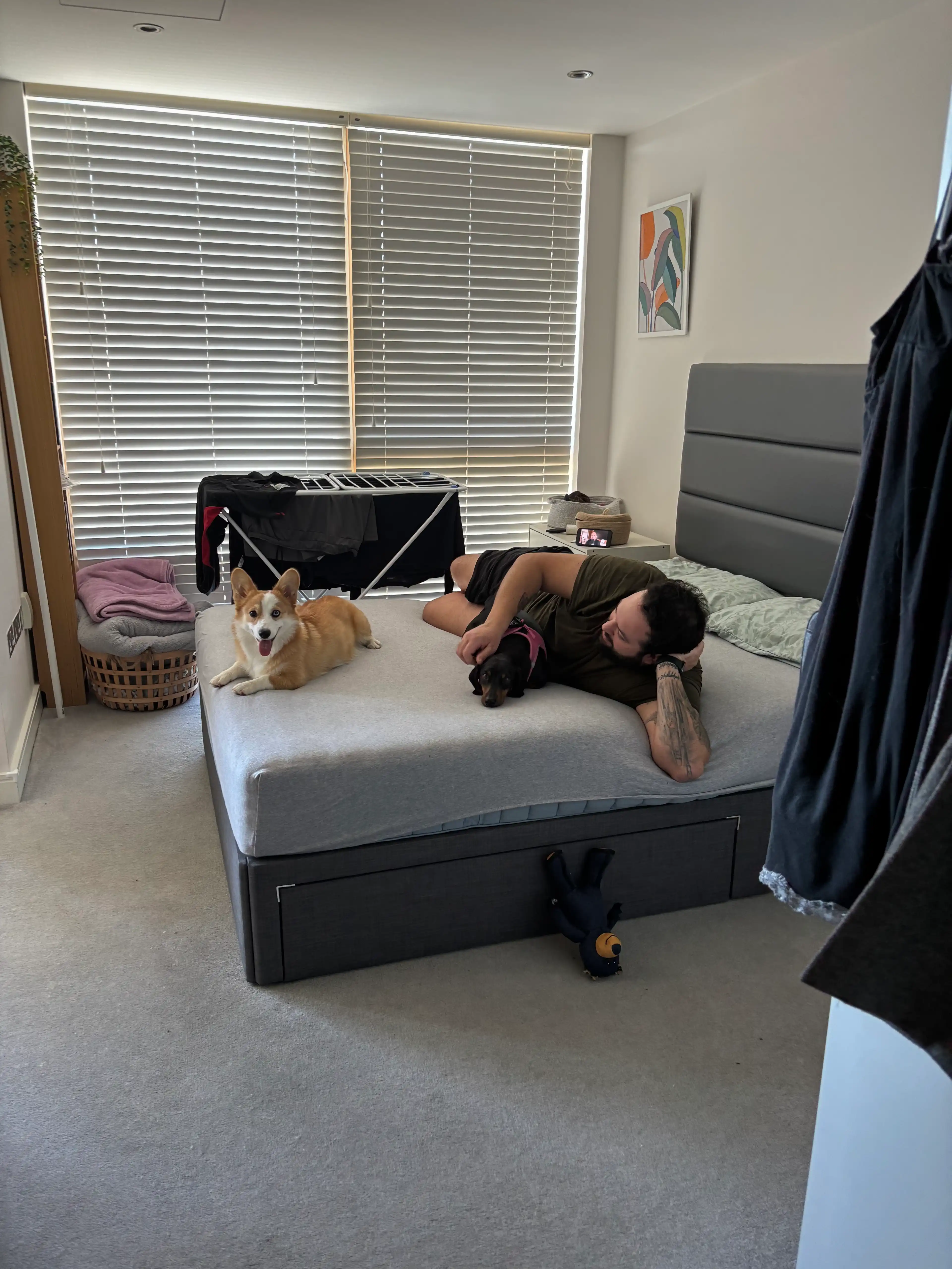 image-17