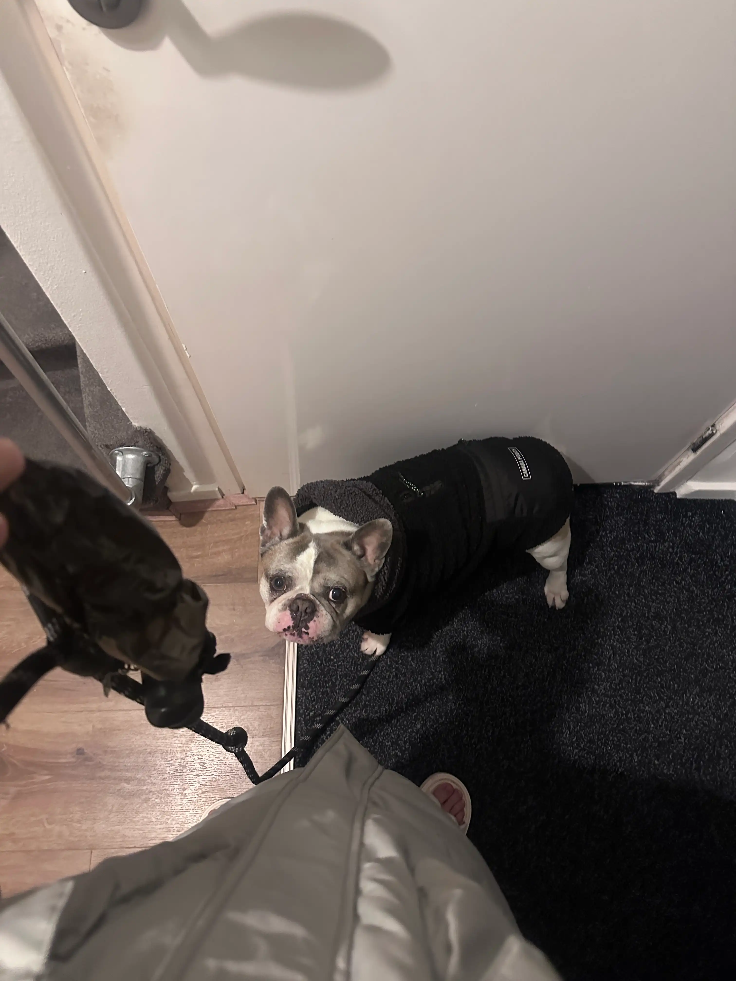 image-6