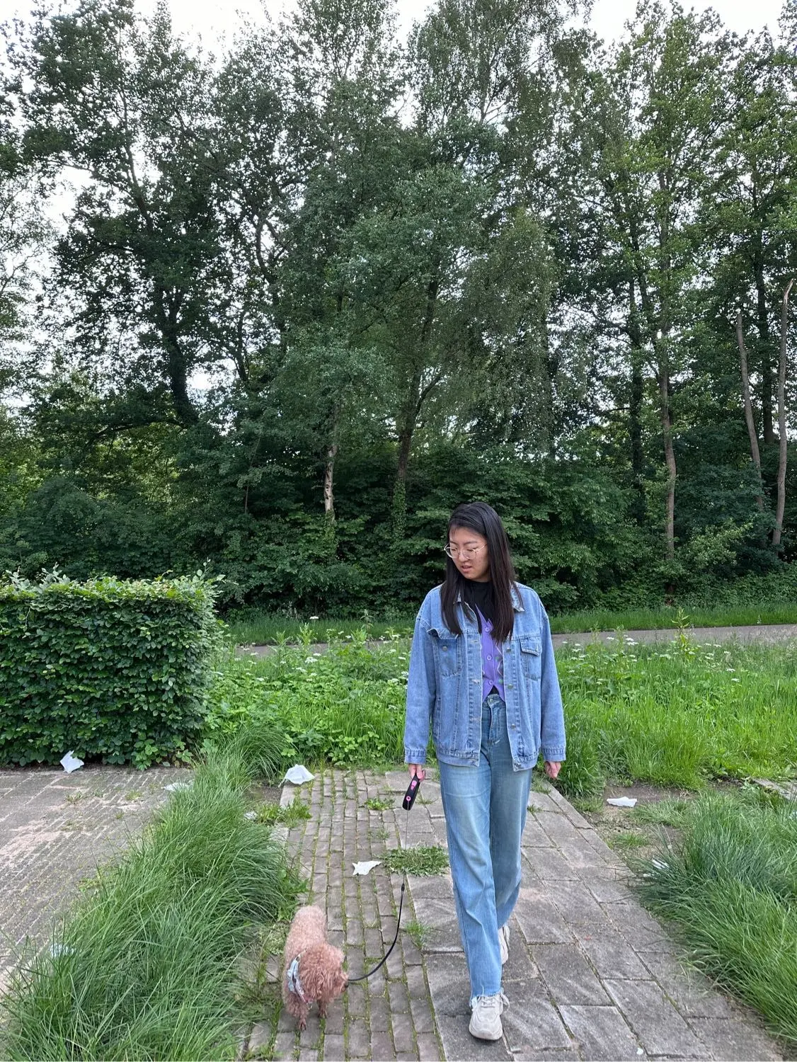 image-1