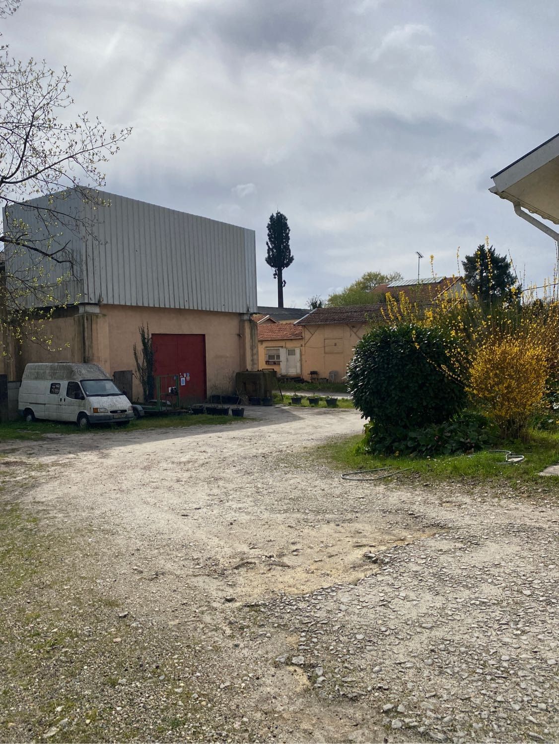 image-7