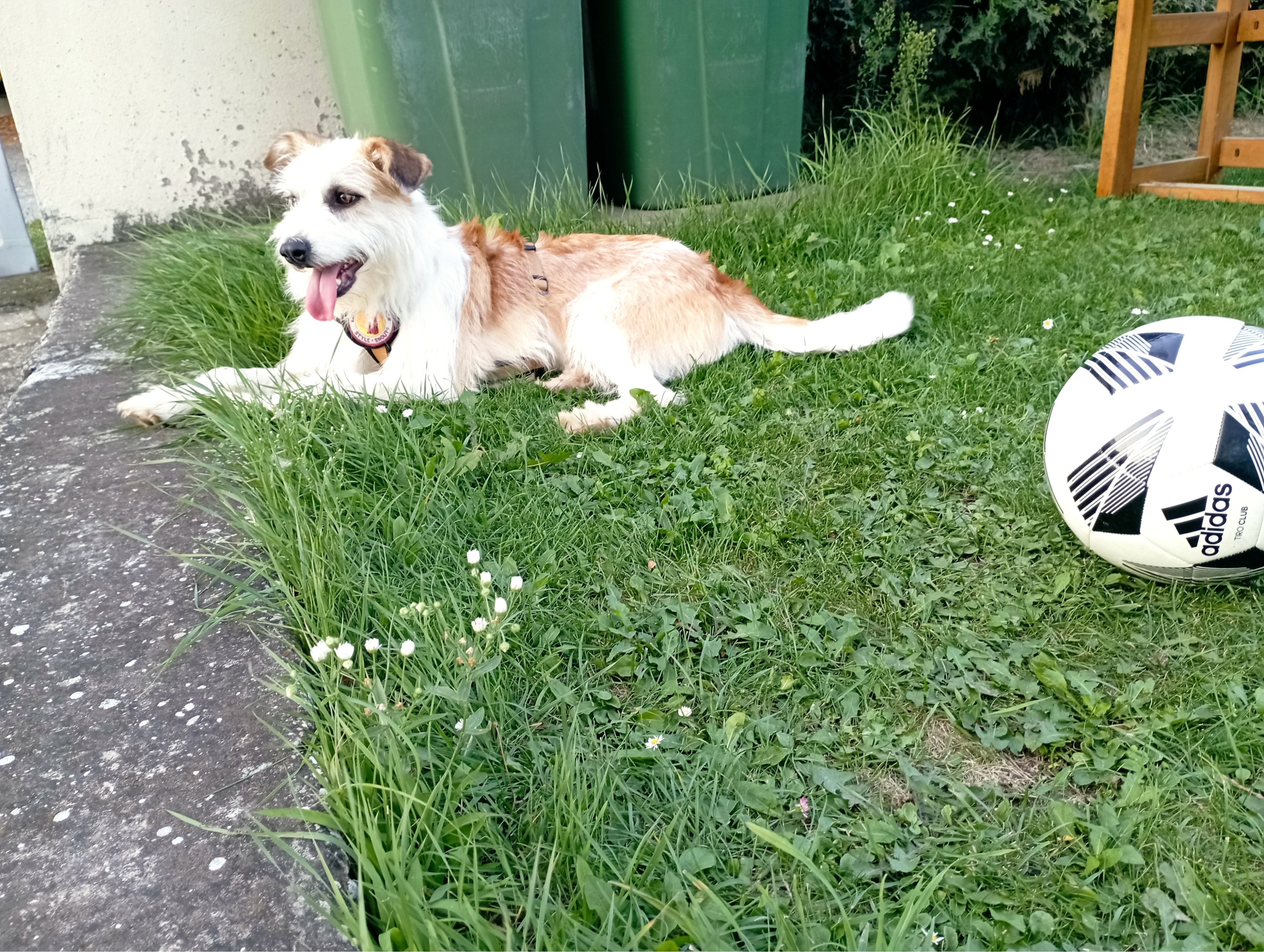 image-10