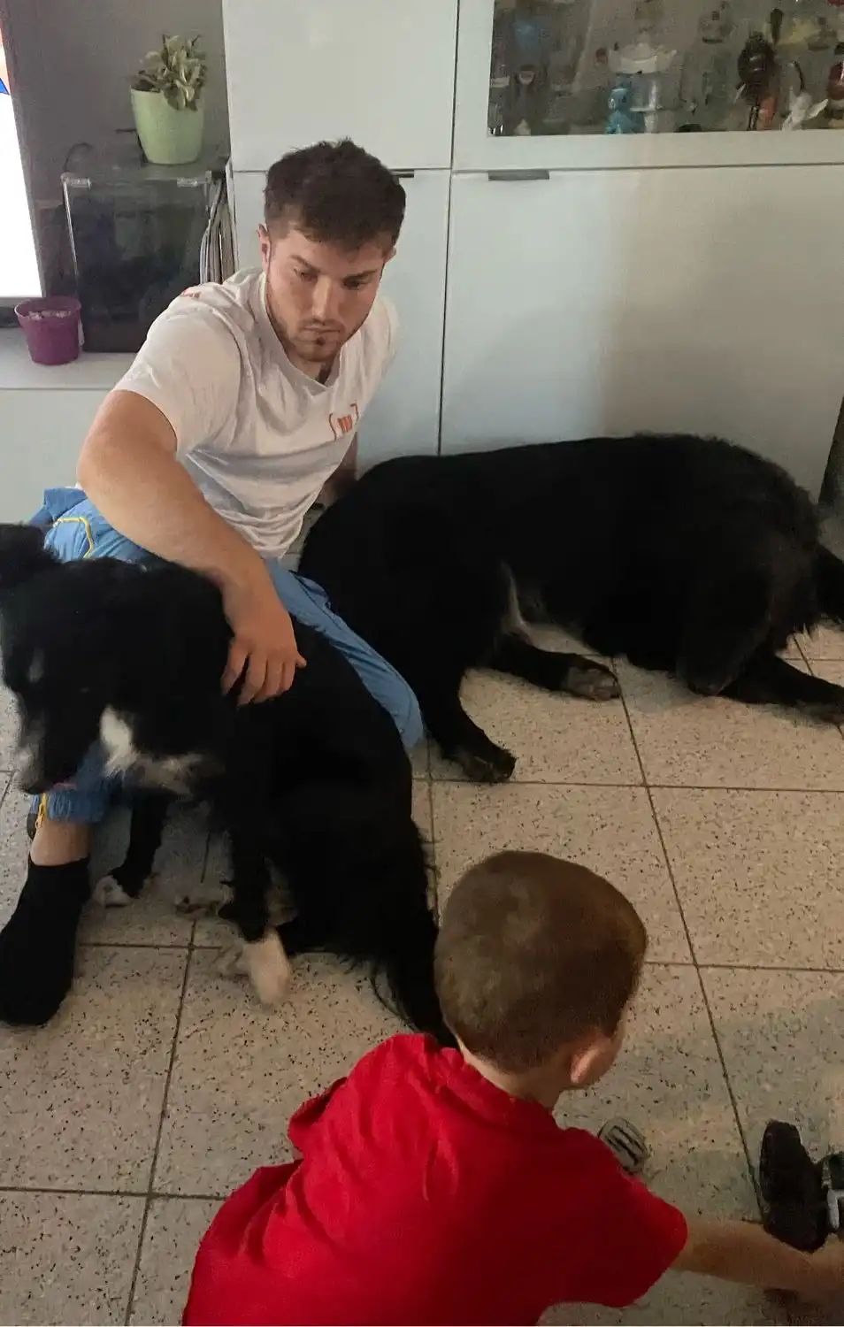 image-8