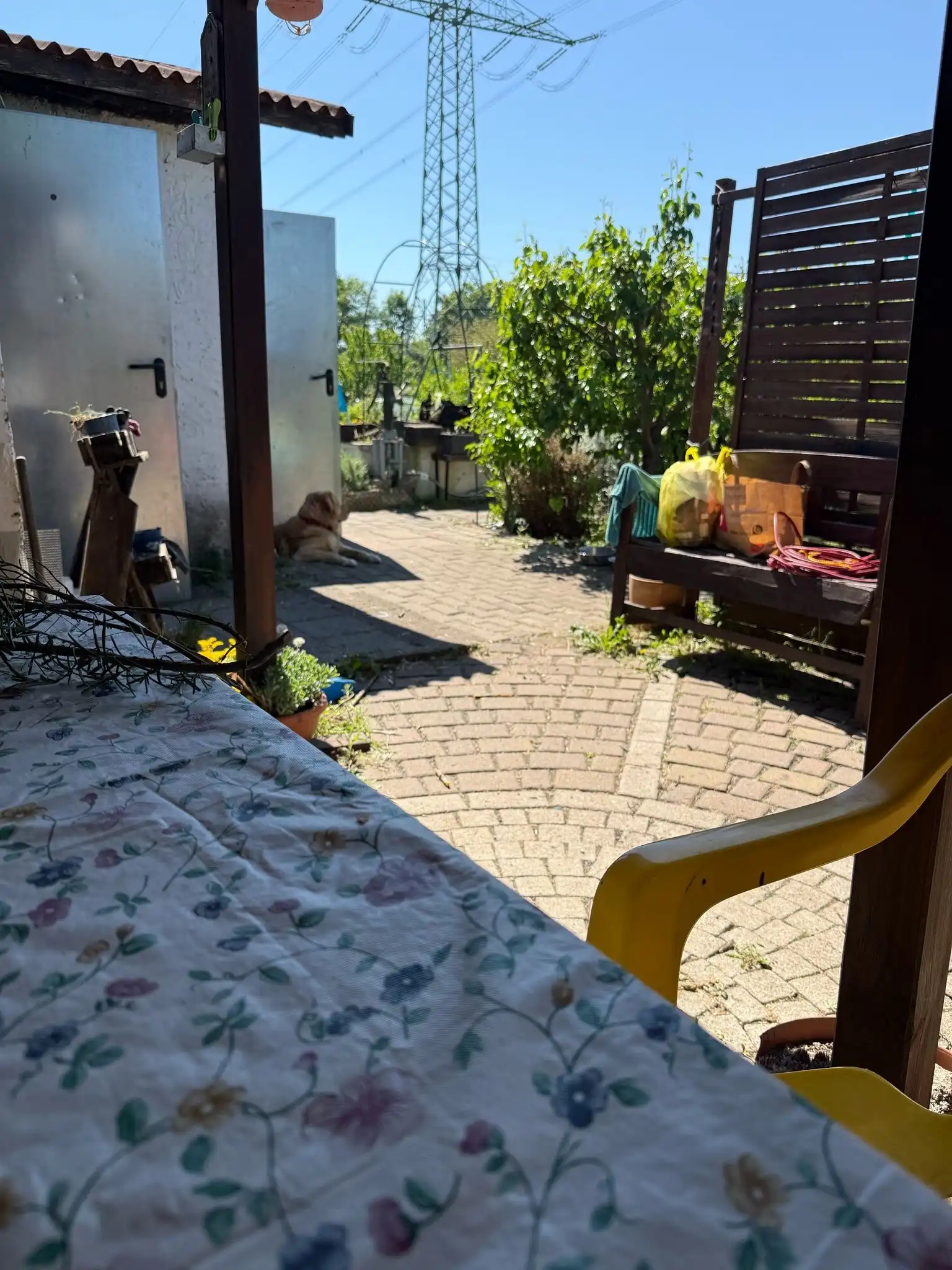 image-24