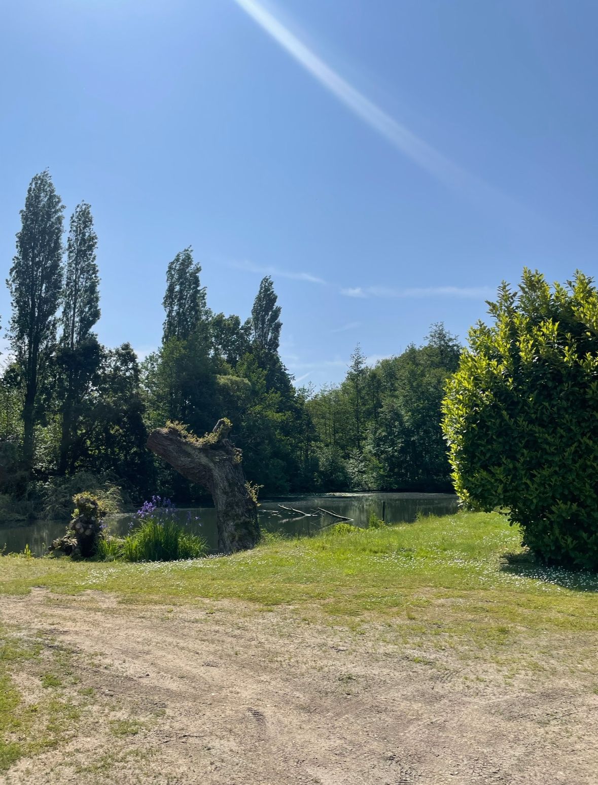 image-13