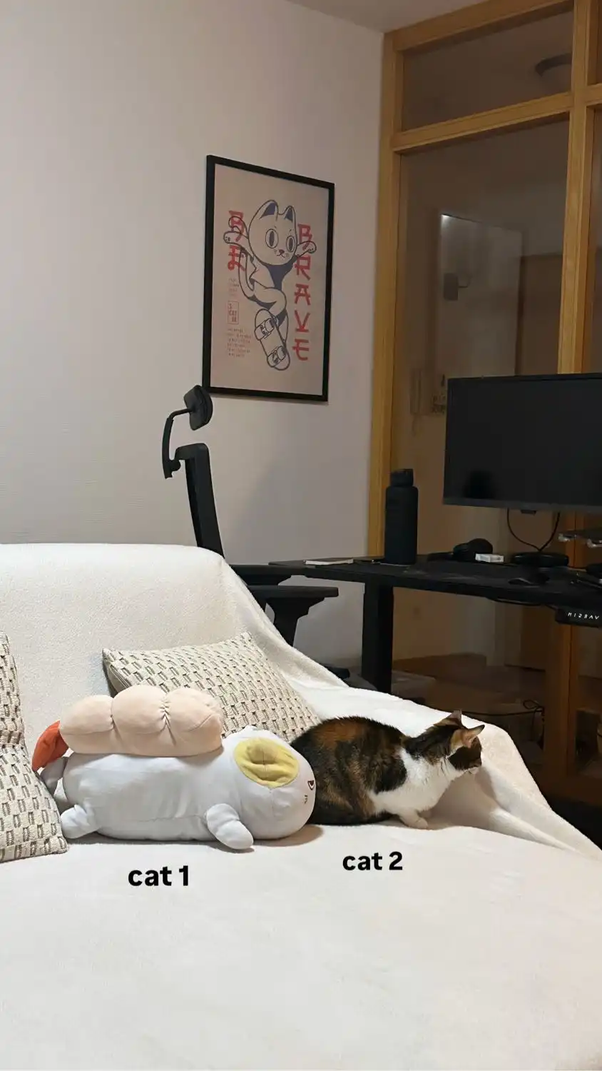 image-16