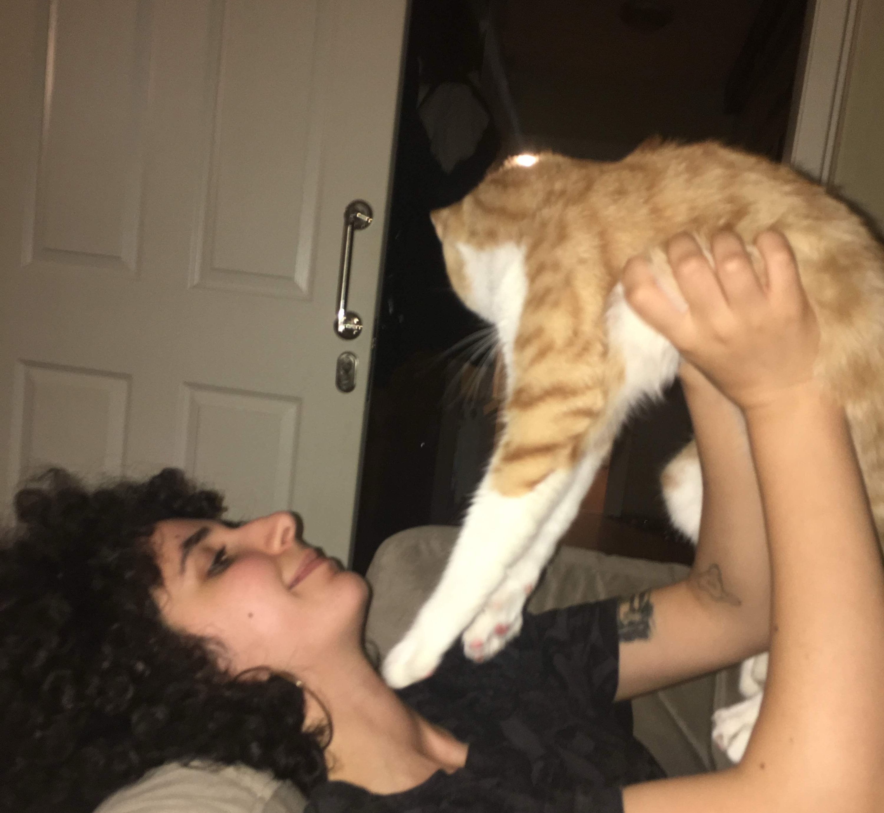 image-8