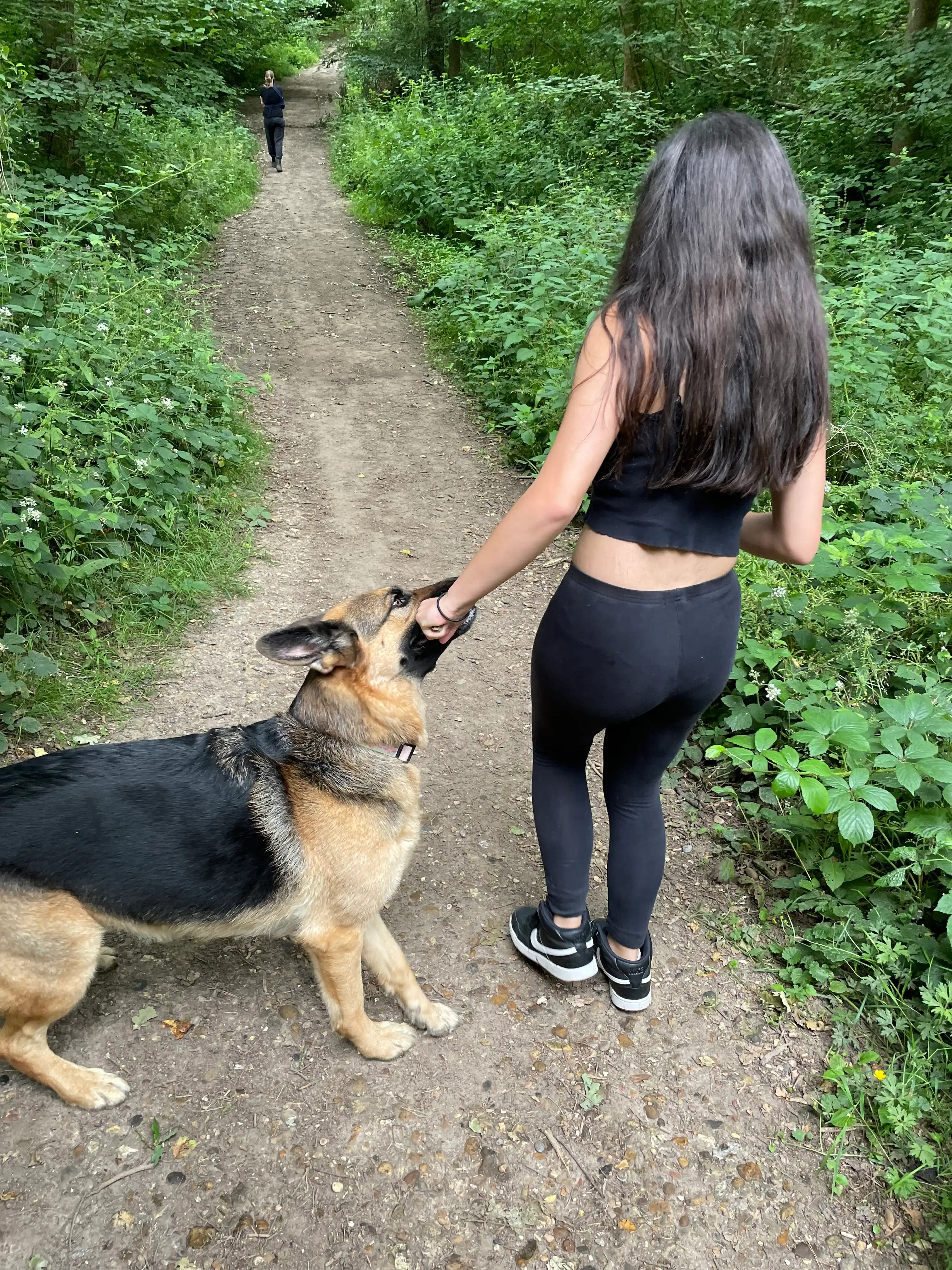 image-9