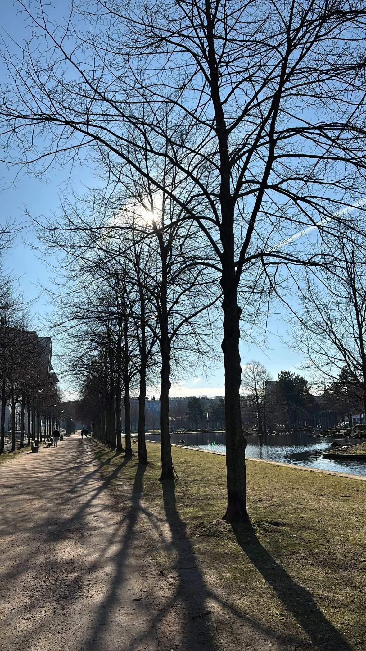 image-14