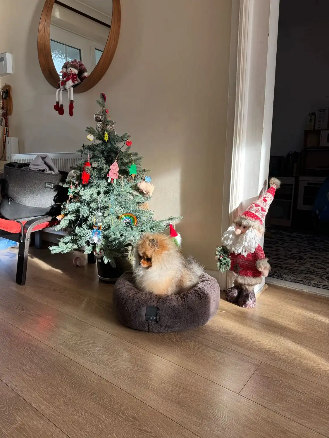 image-12