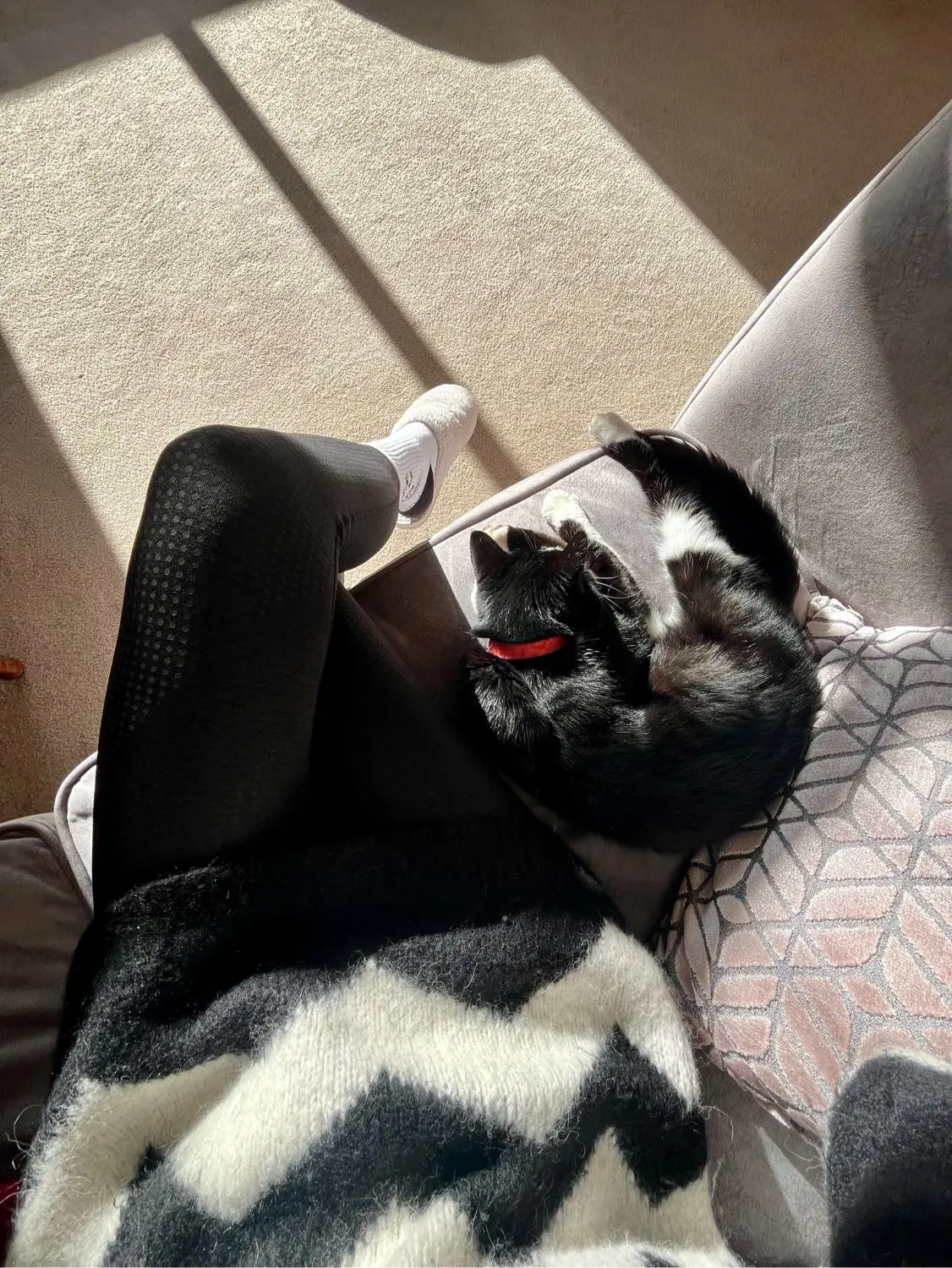 image-4