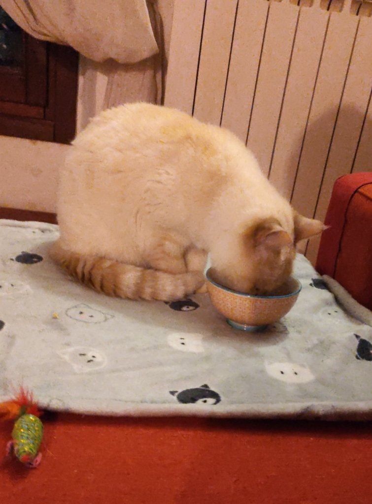 image-49