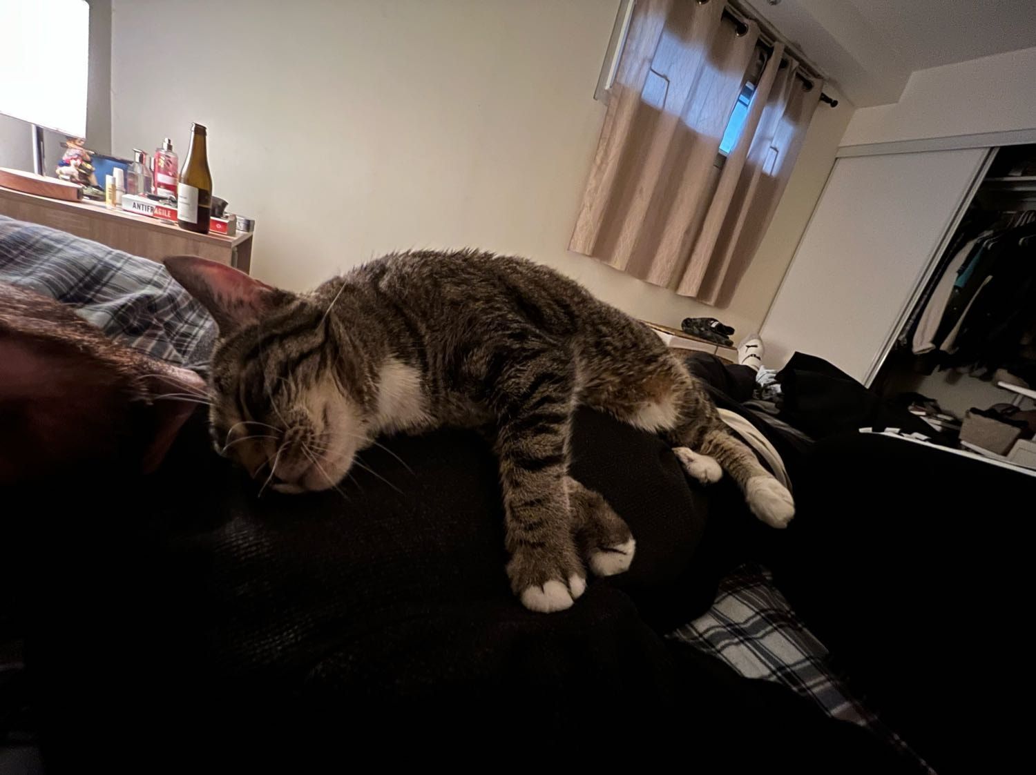 image-6