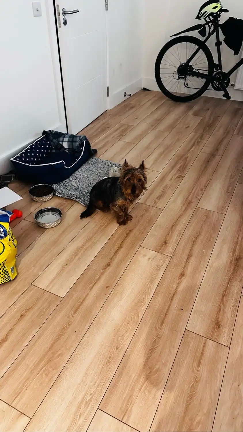 image-6