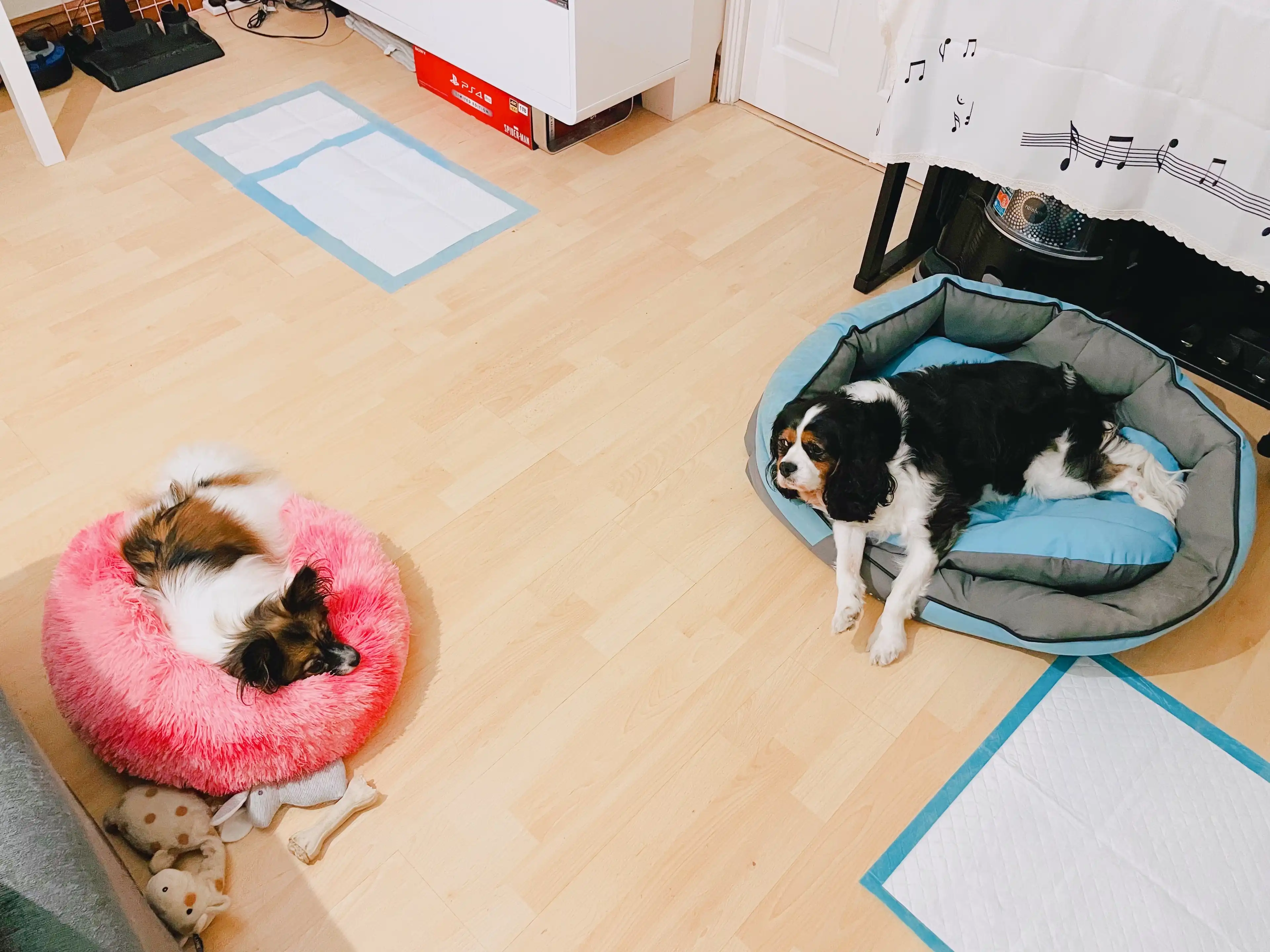 image-16