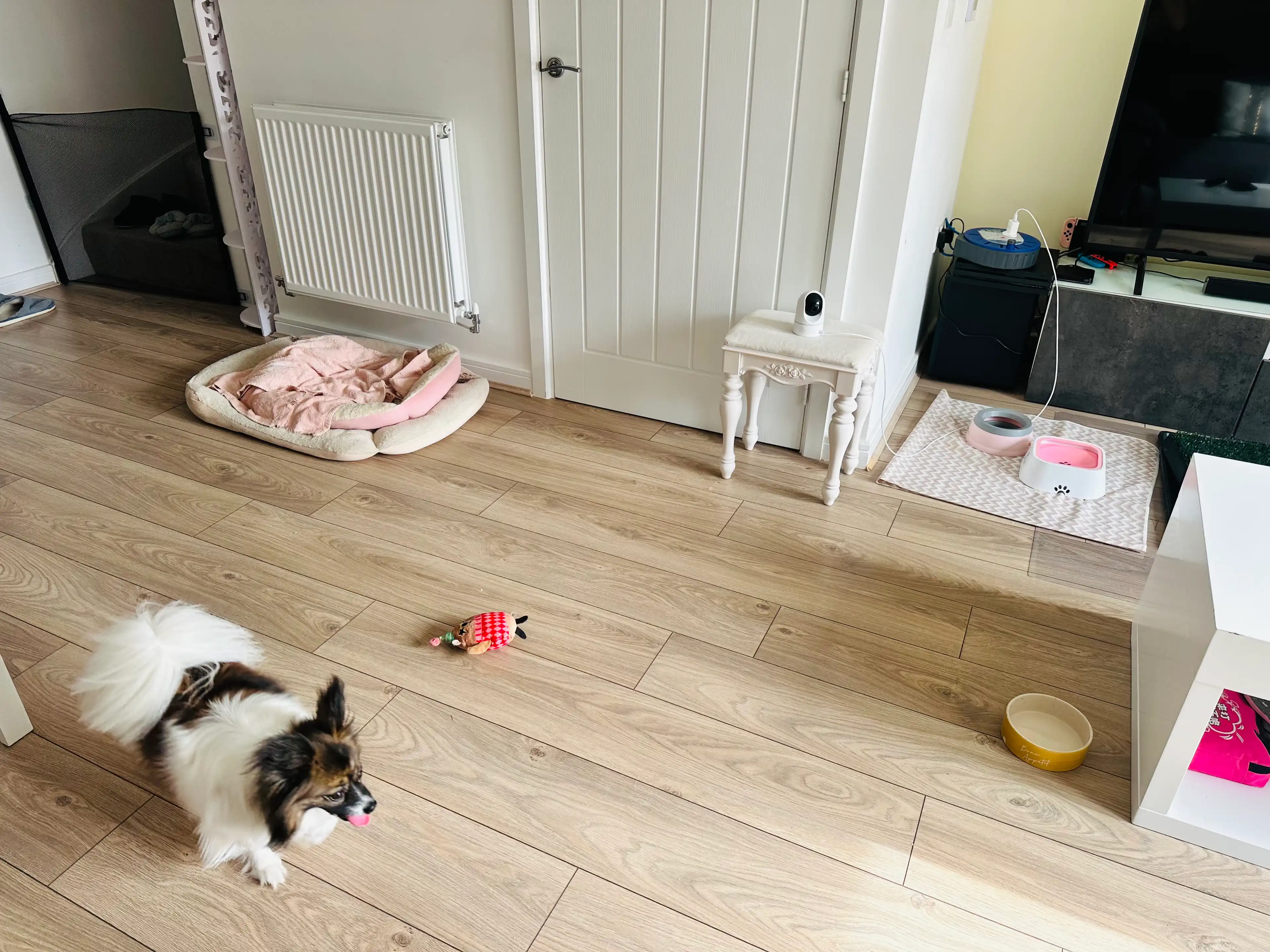 image-18