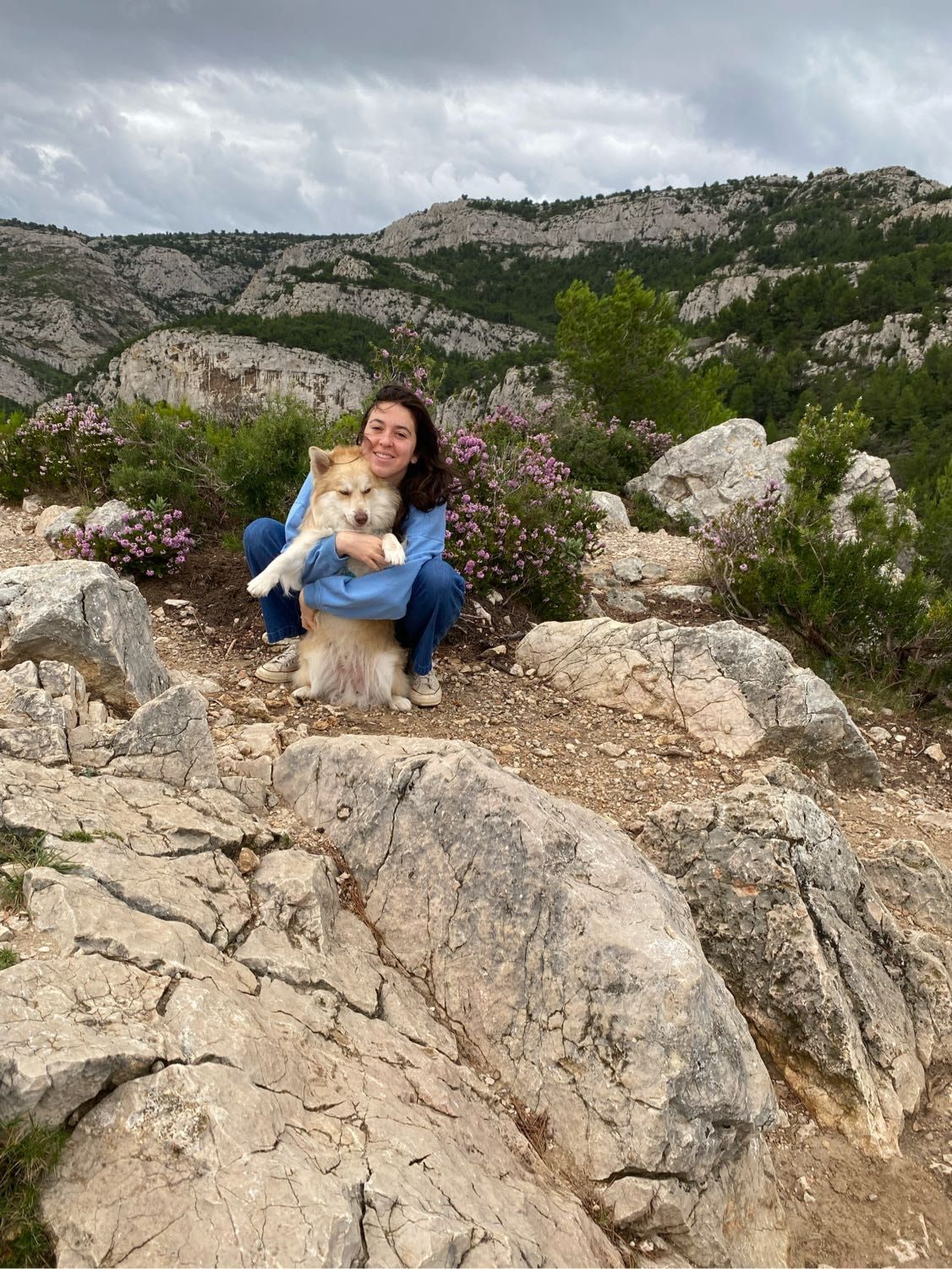 image-1