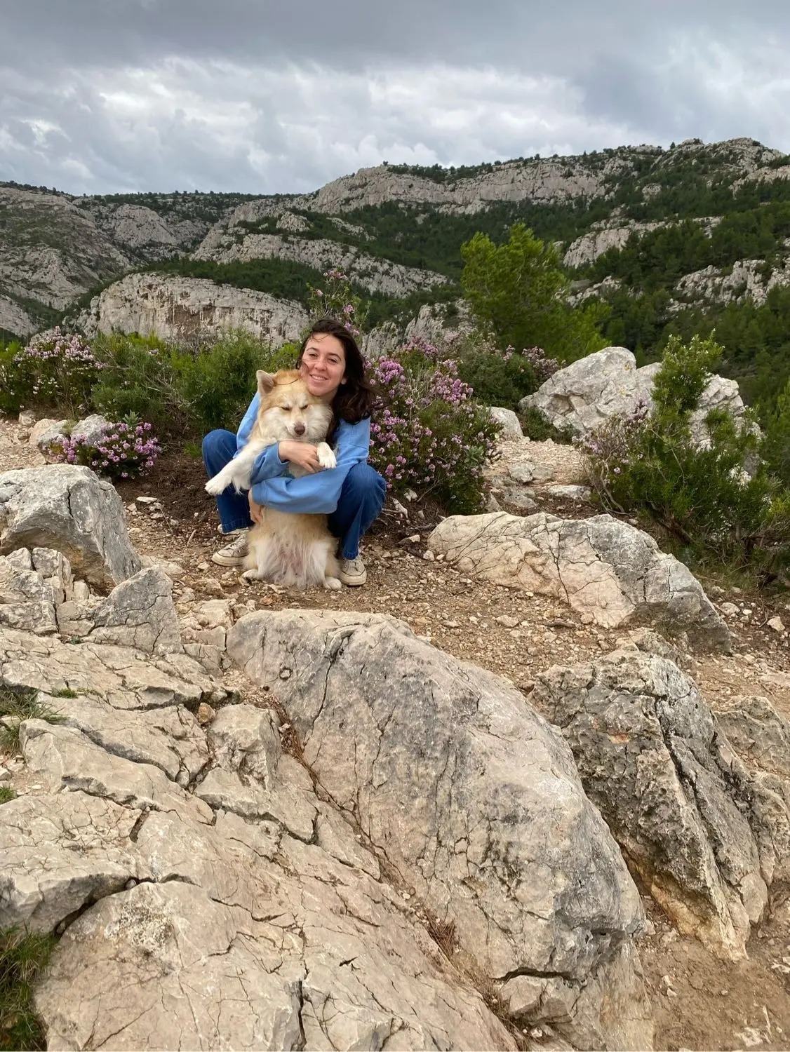 image-1
