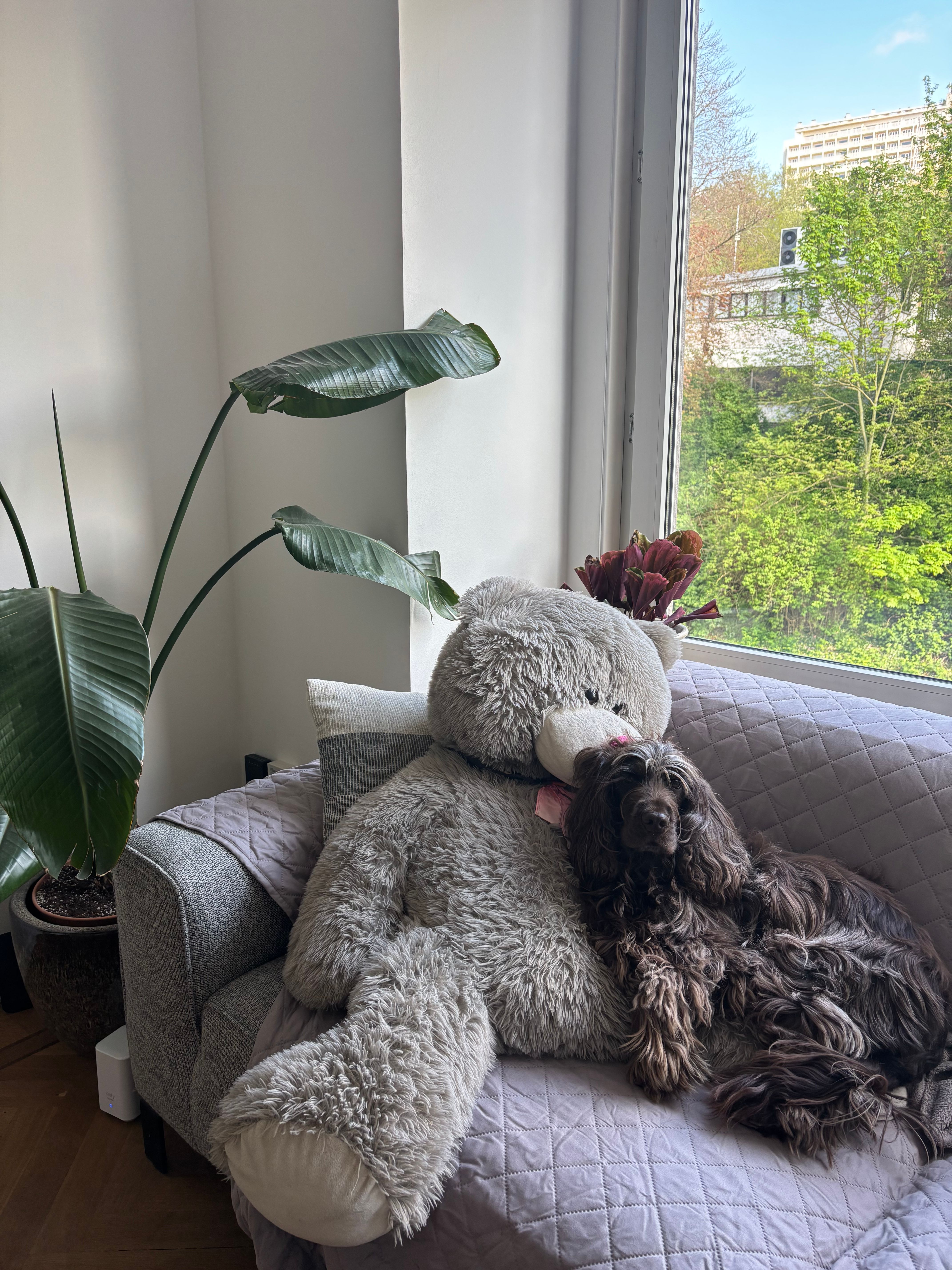 image-9