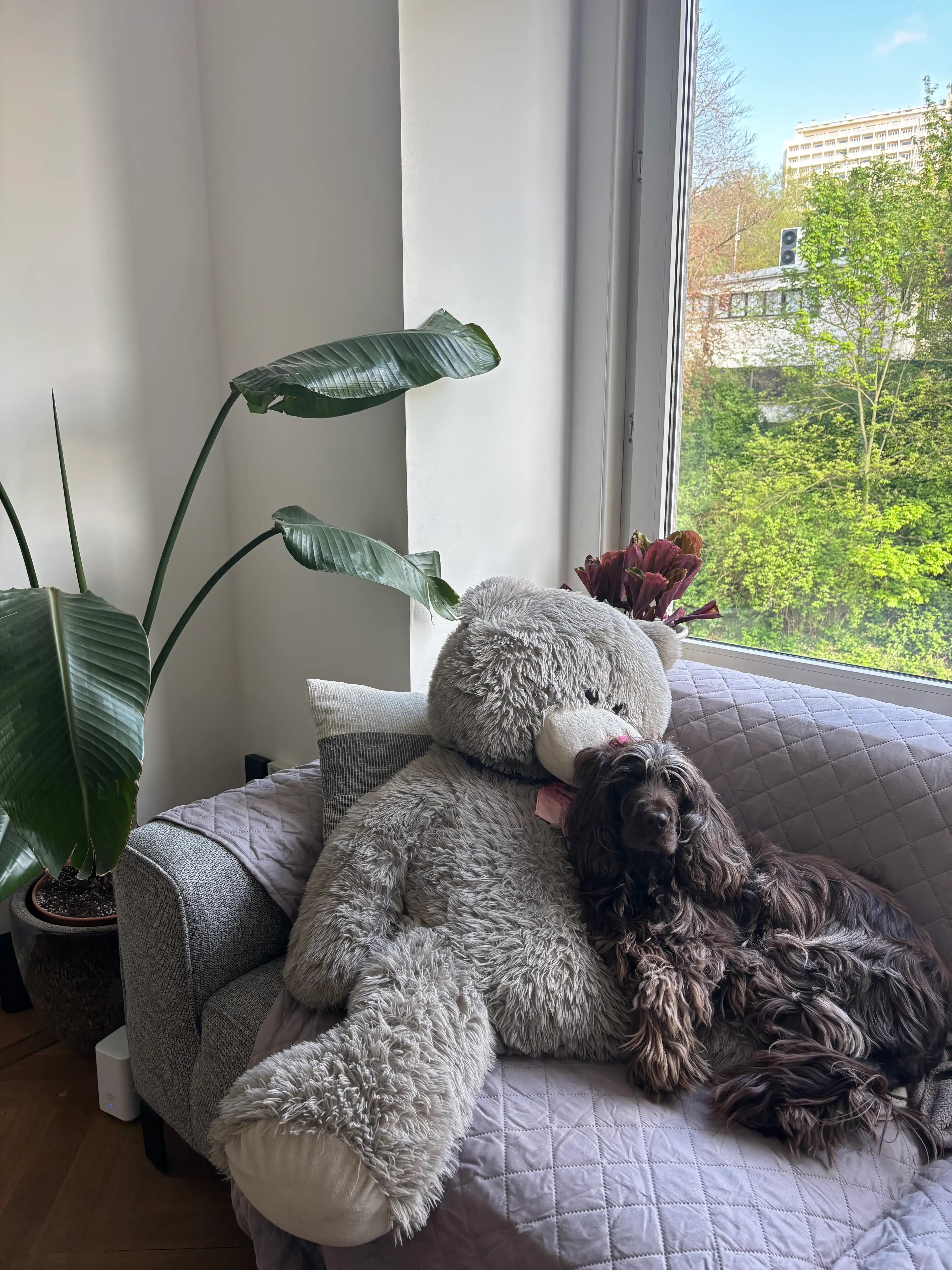 image-9