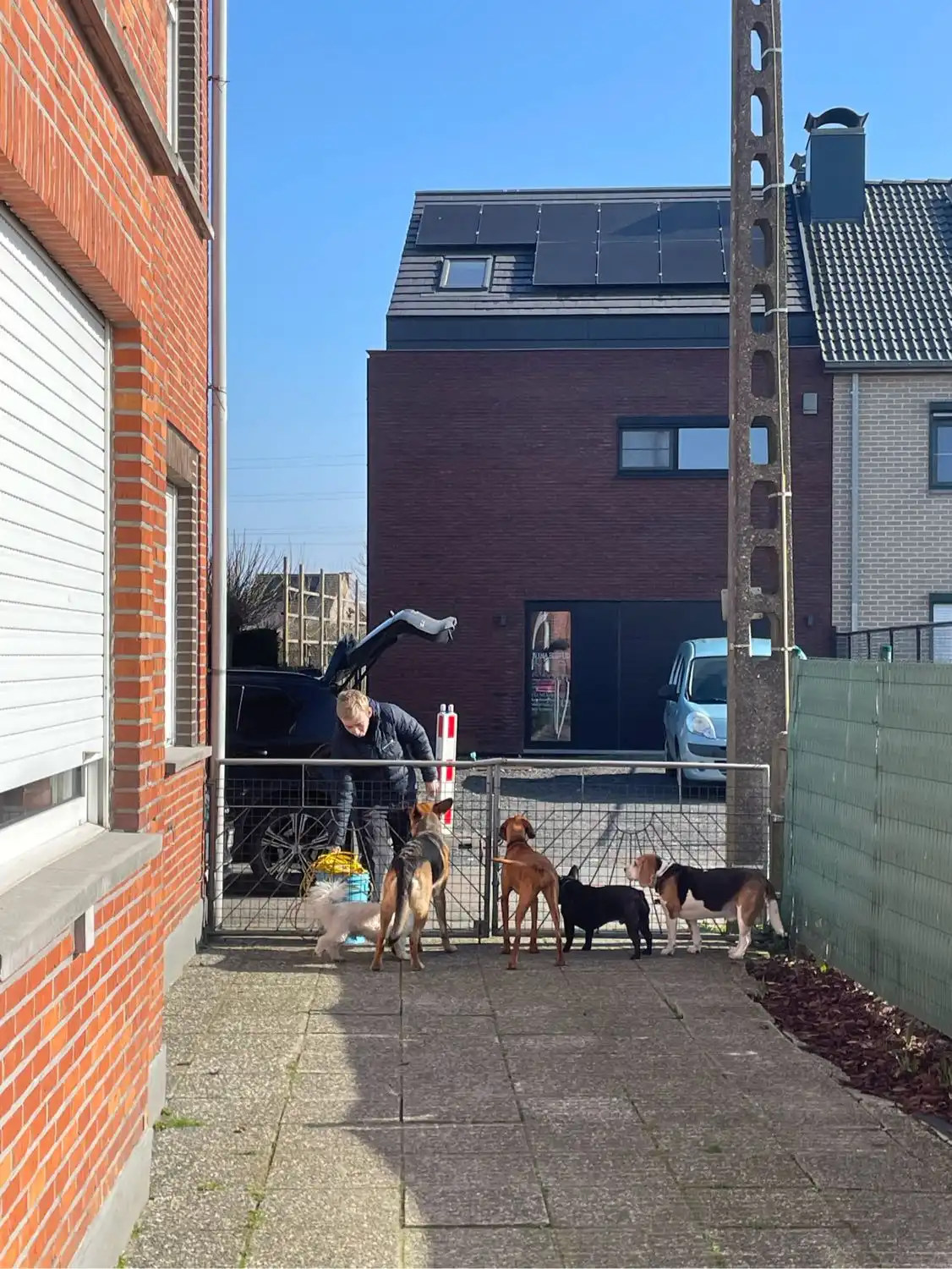 image-18