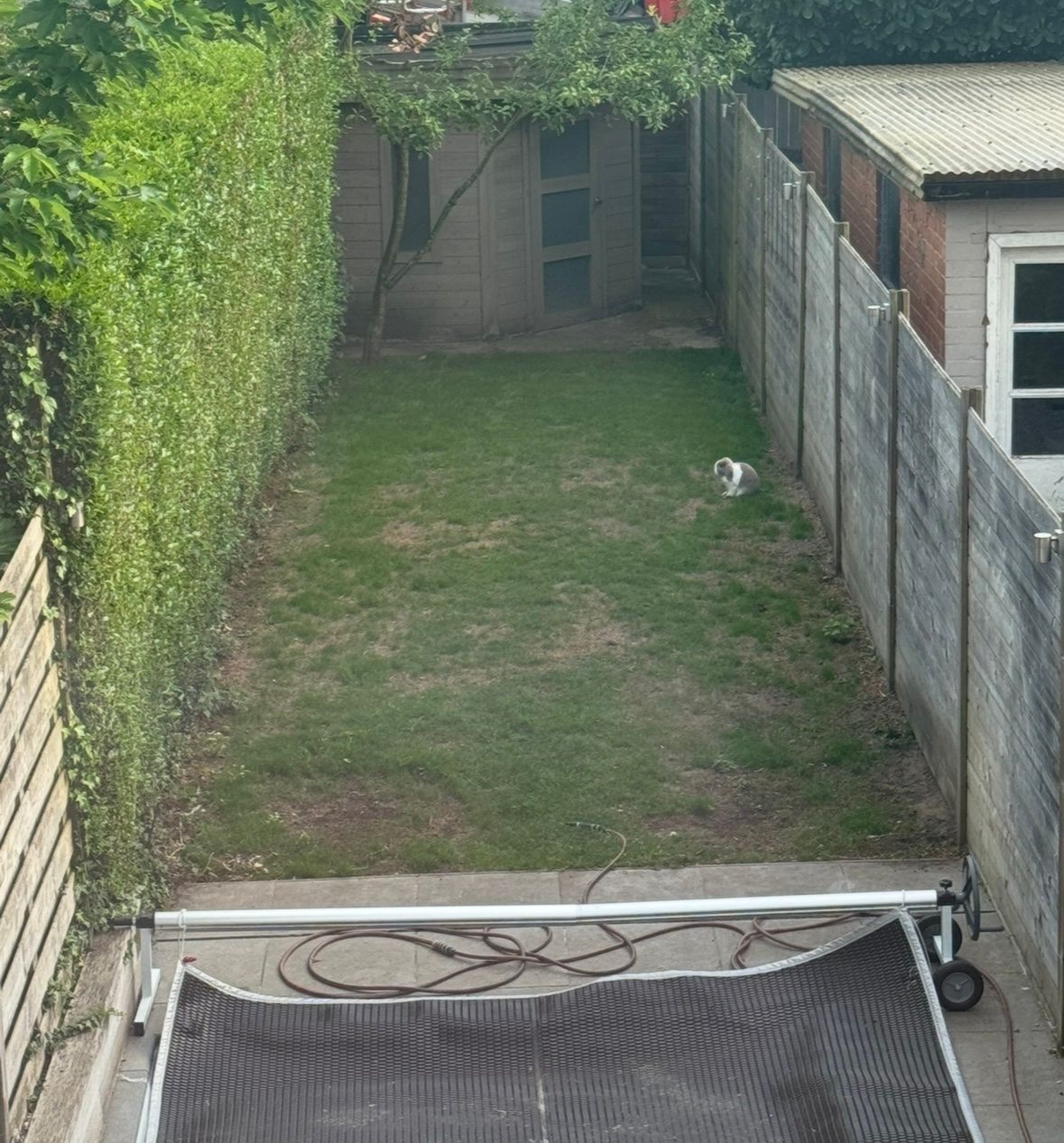 image-14