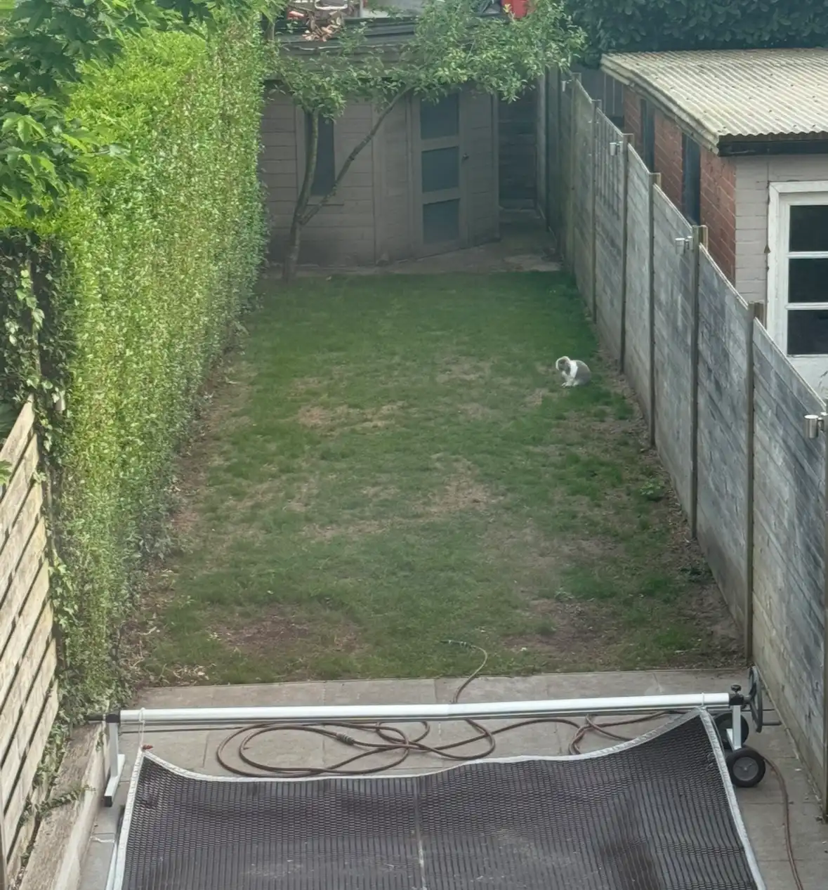 image-14