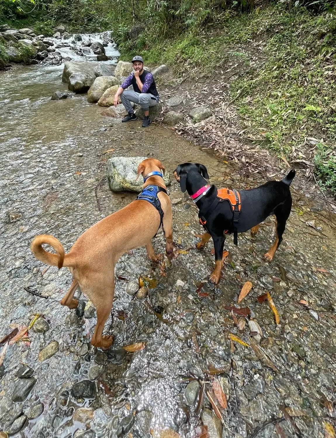 image-4