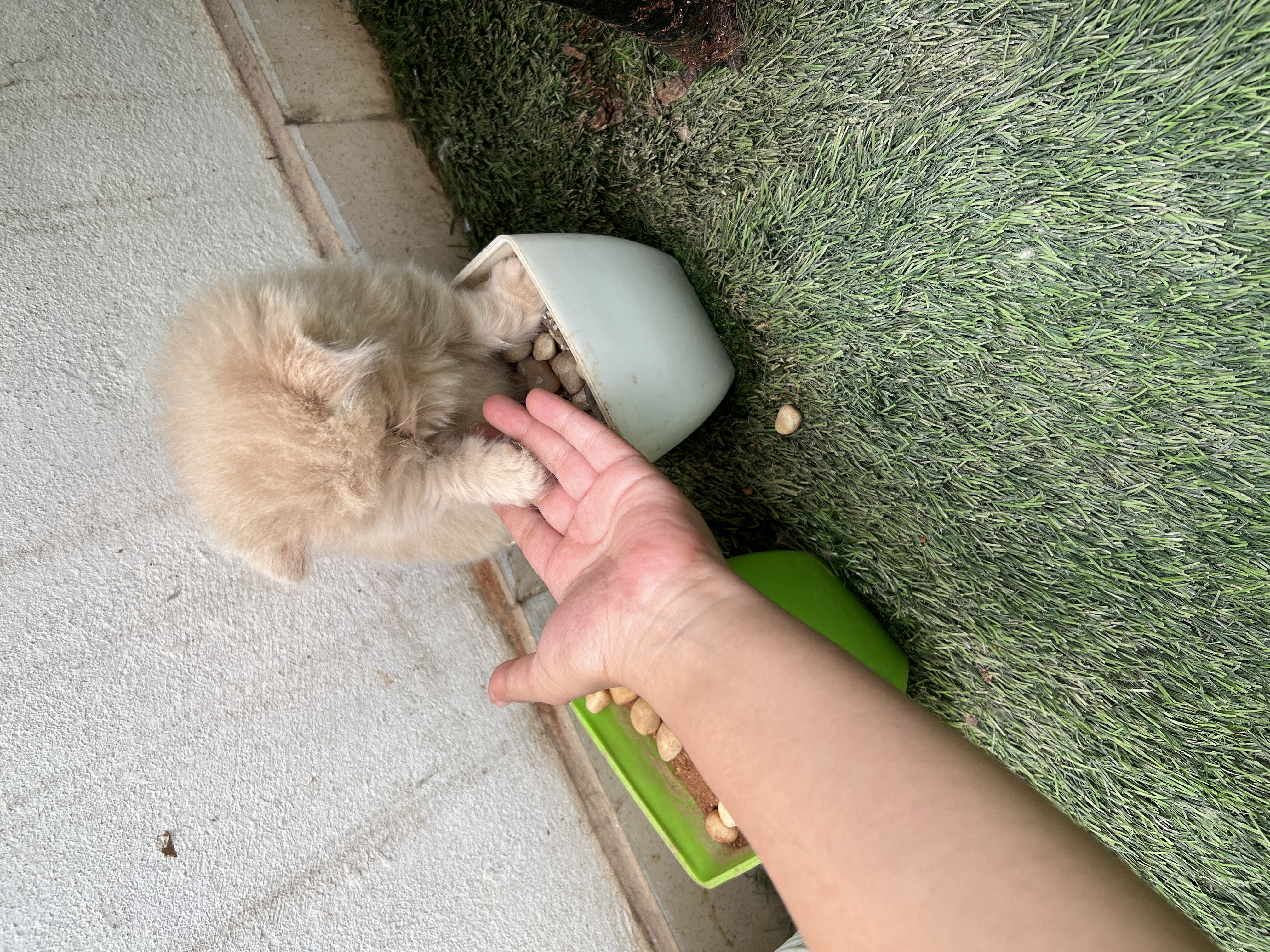 image-6