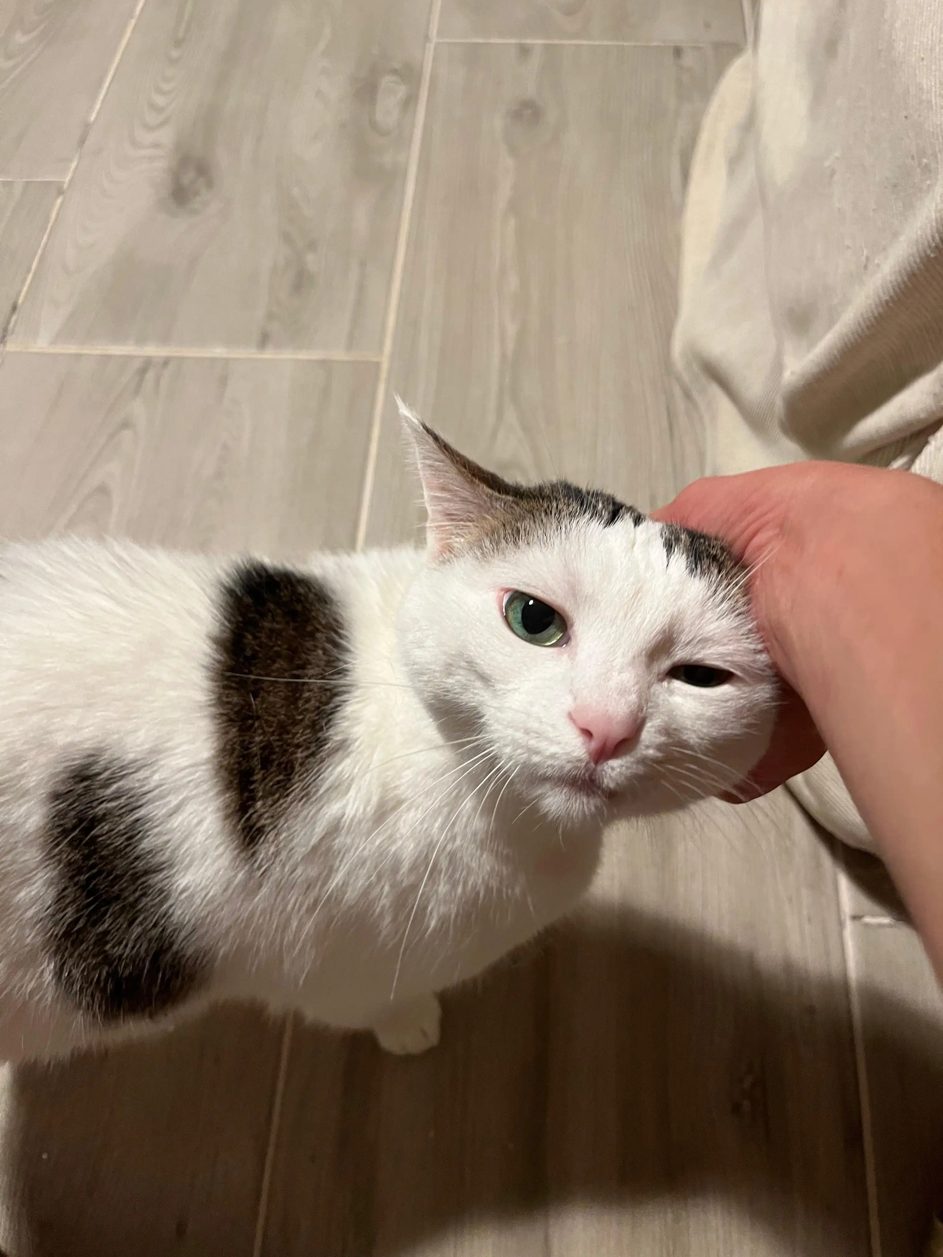 image-6