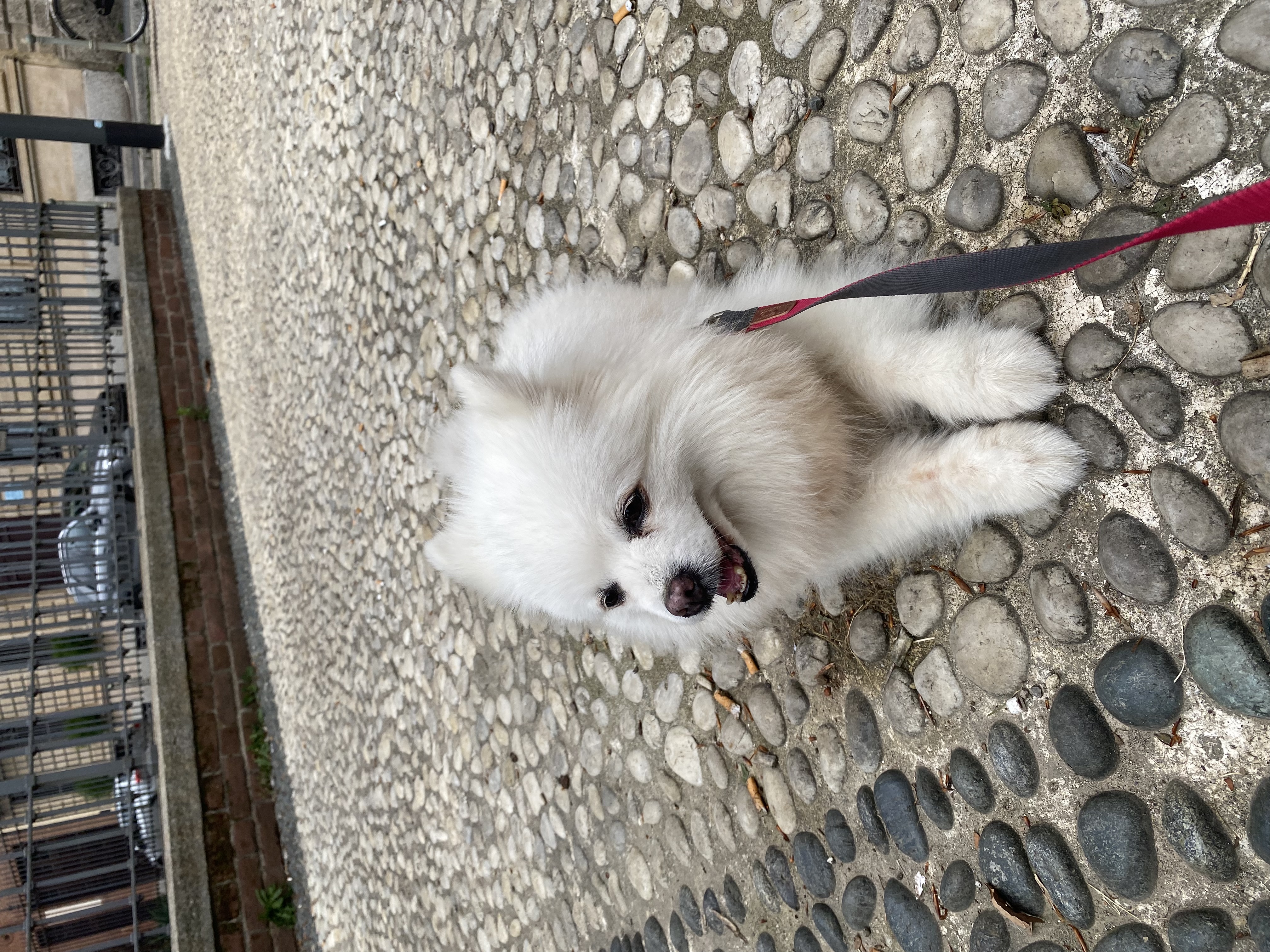 image-7
