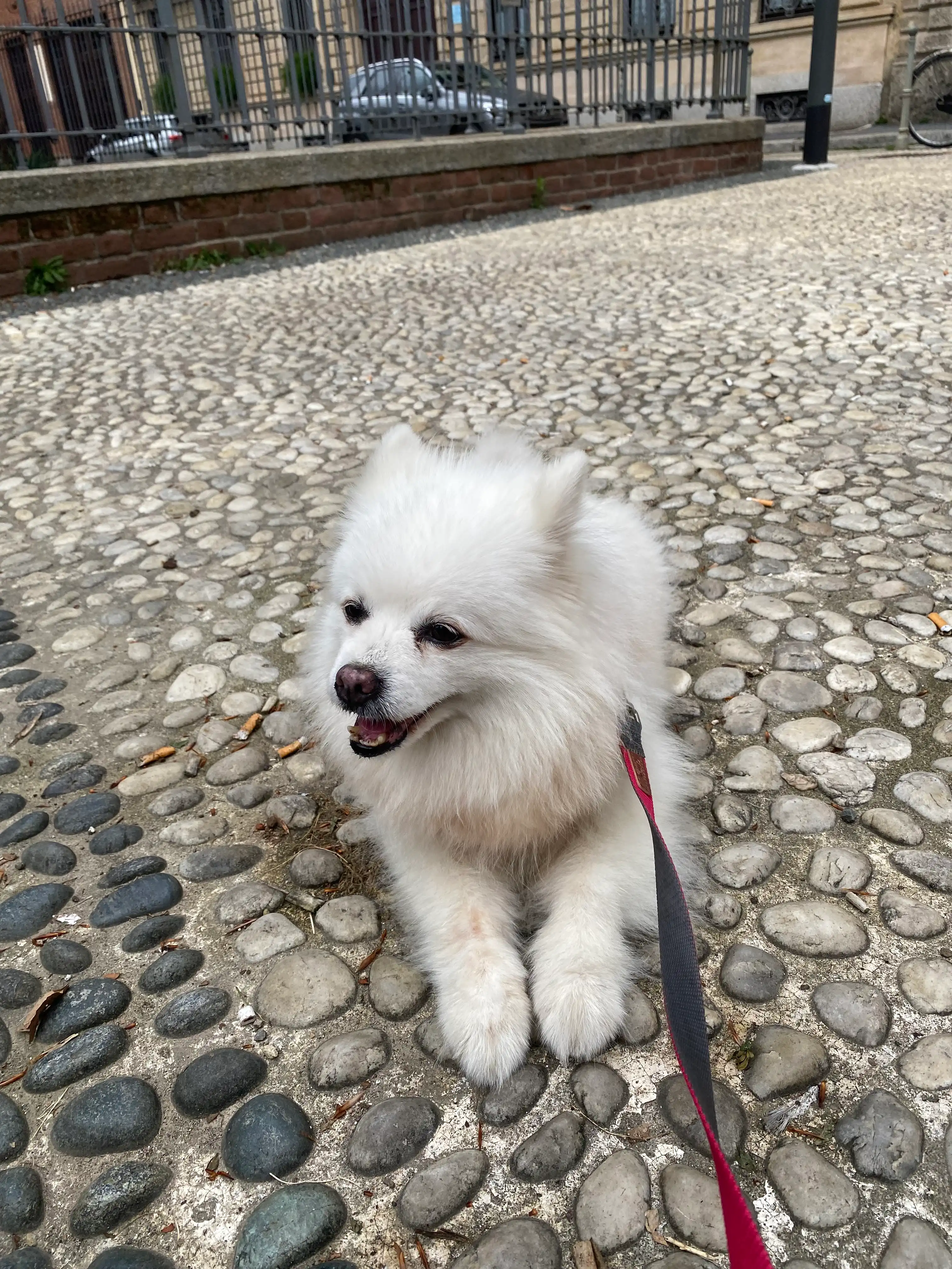 image-7